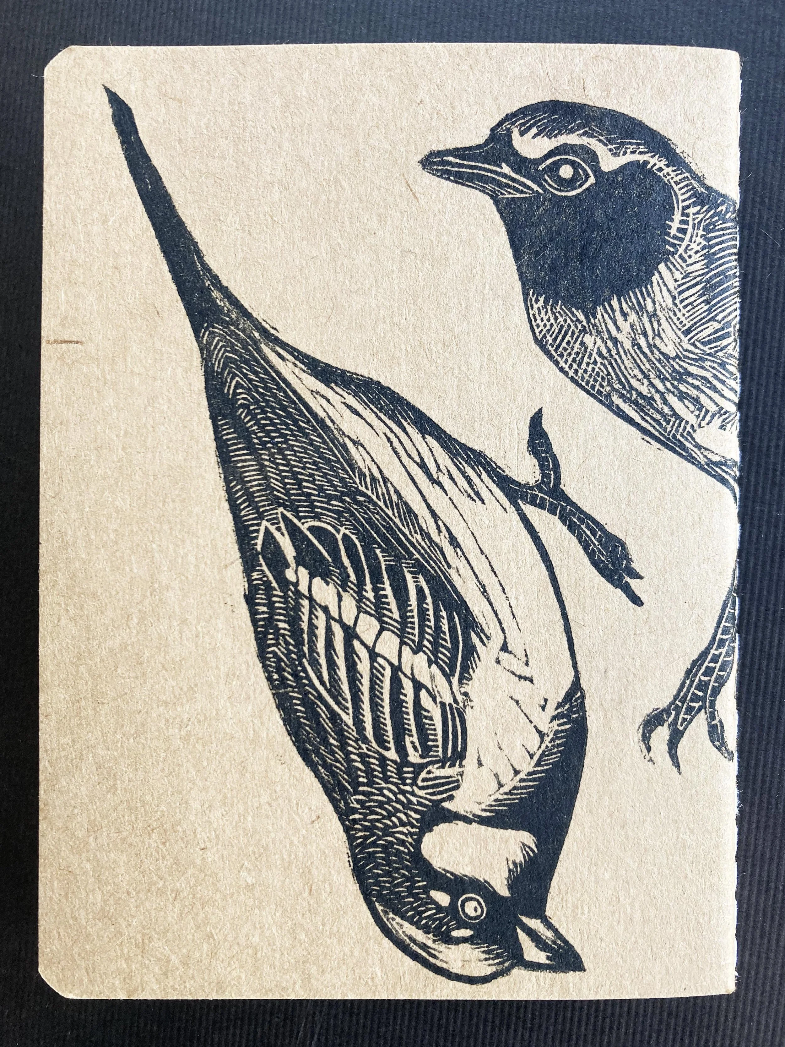 birdbooknewback.jpg