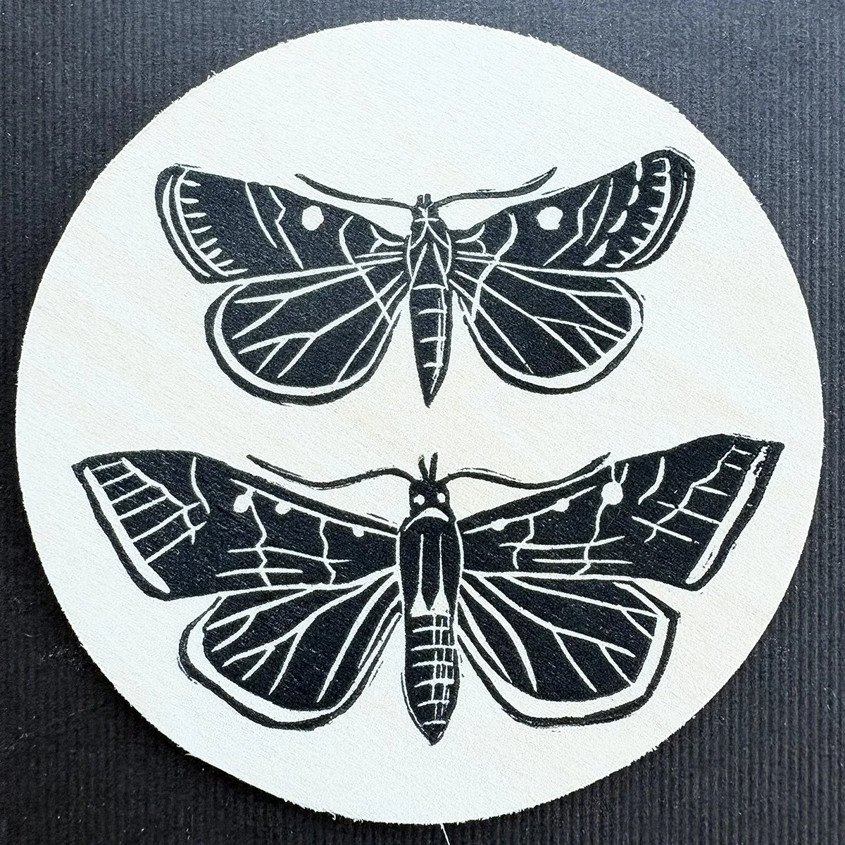 butterflycoasternew.jpg