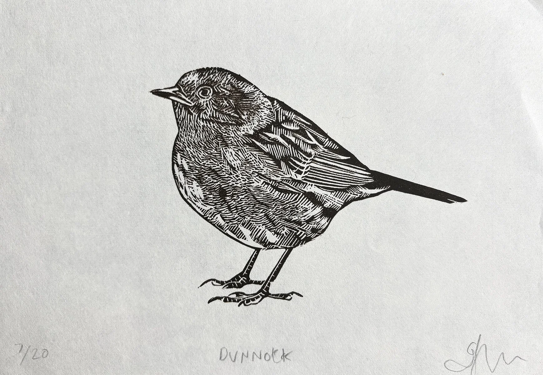 dunnock7:20.jpg
