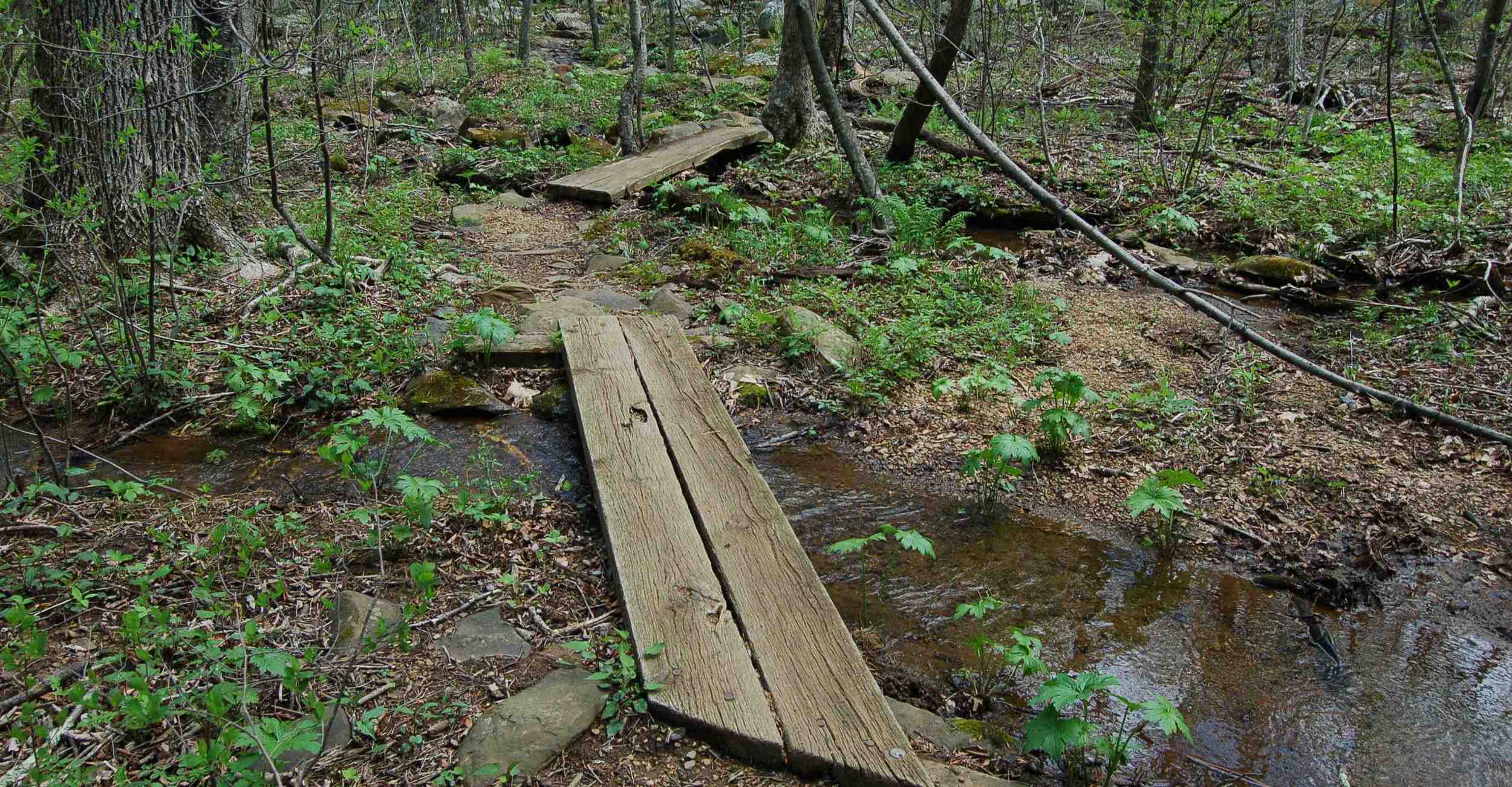 Shamokin Springs bridge copy.jpg