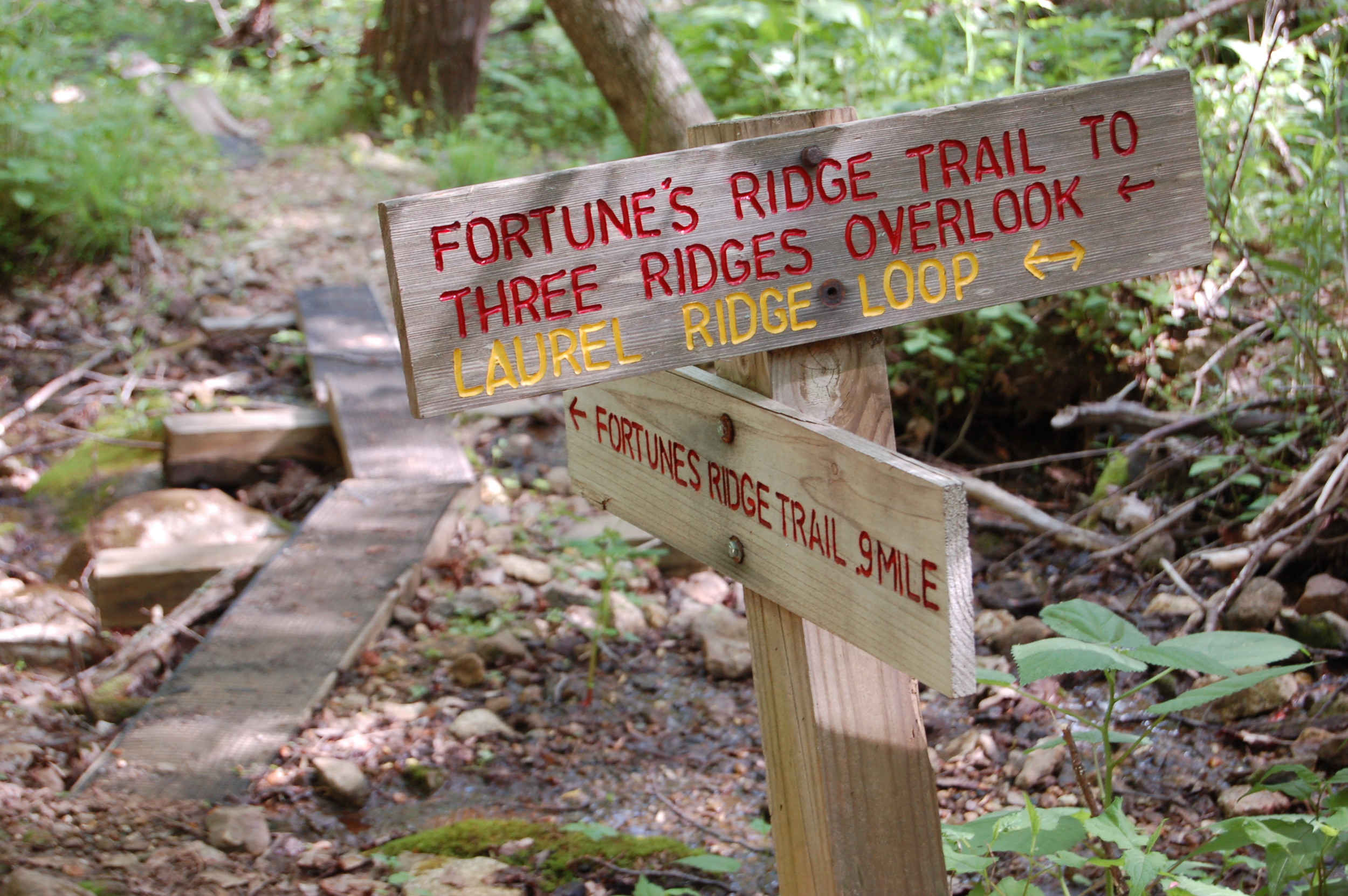 sign fortunes ridge may 14.JPG