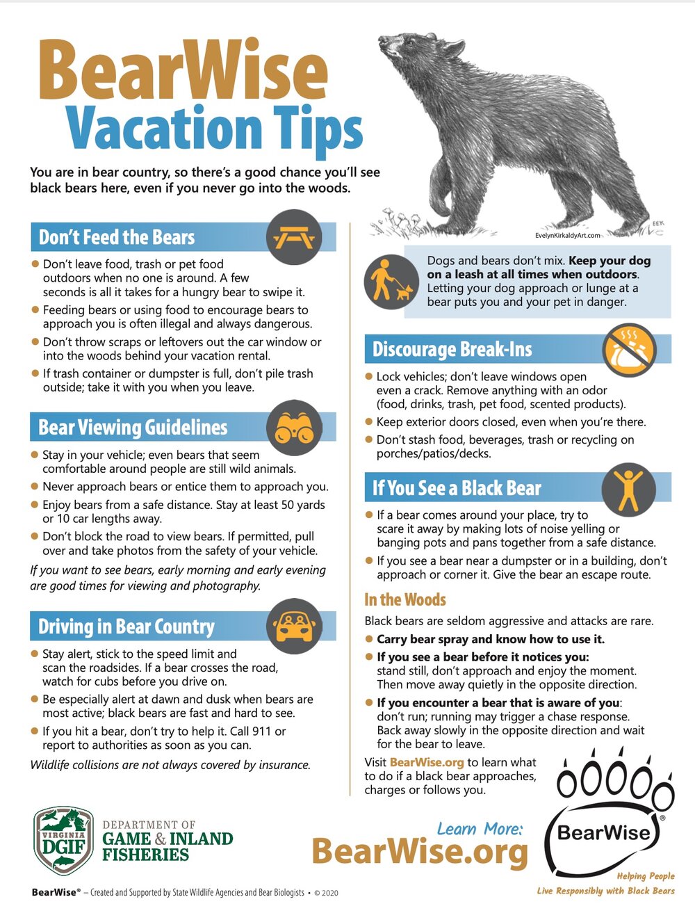 New guide about bears for homeowners, vacationers, and visitors —  Wintergreen Property Owners Association