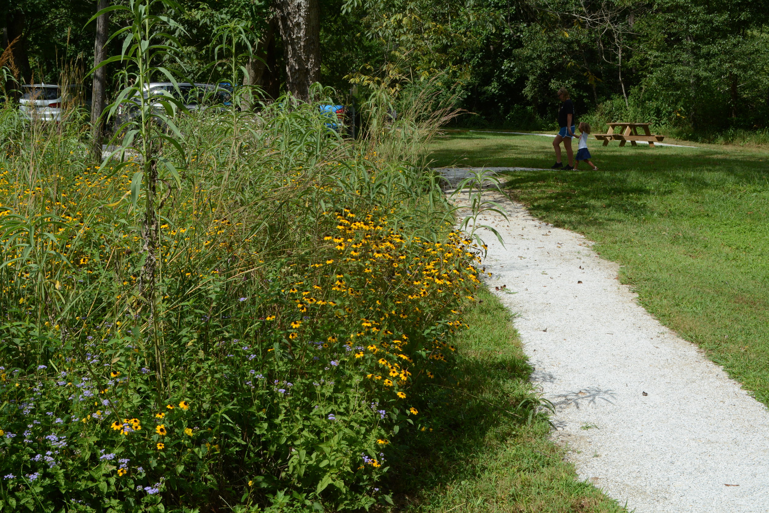 The playground is in the middle of a nature trail.