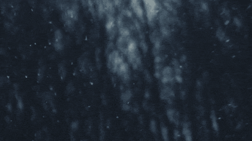 snow in trees.gif