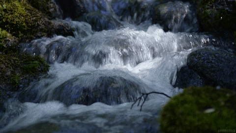 waterfall header.gif