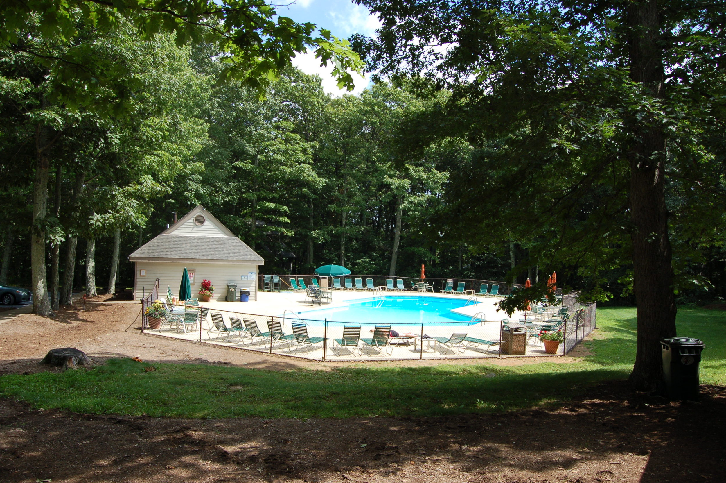 Chestnut Springs Pool & Pavilion