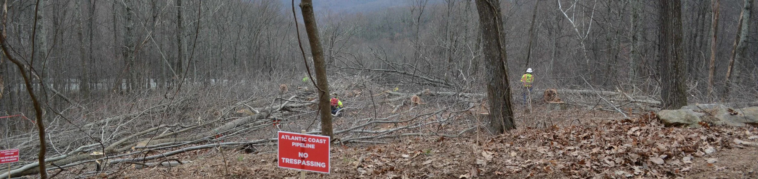 WPOA details its concerns about ACP construction