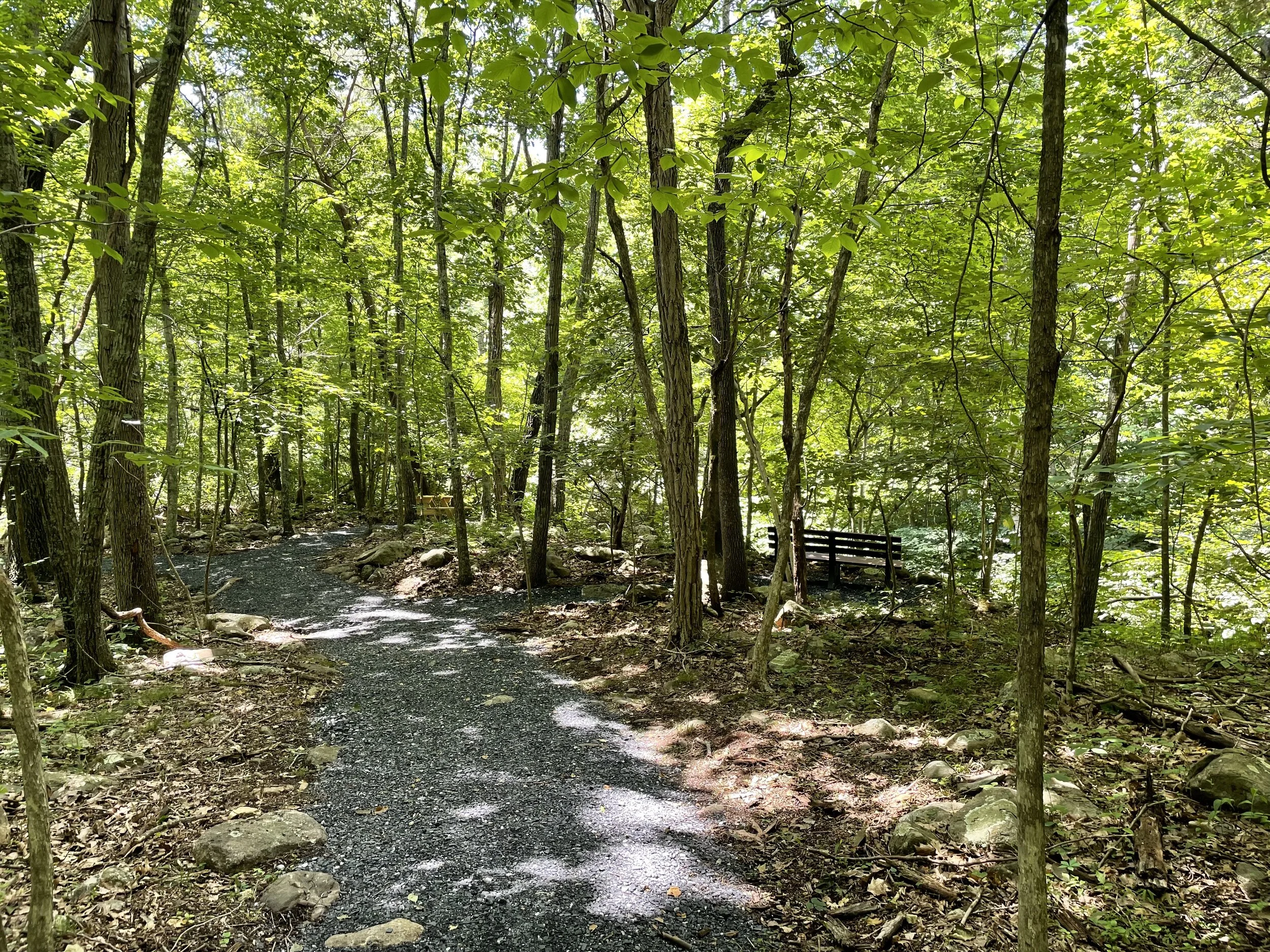 Developing the potential of Stoney Creek Park