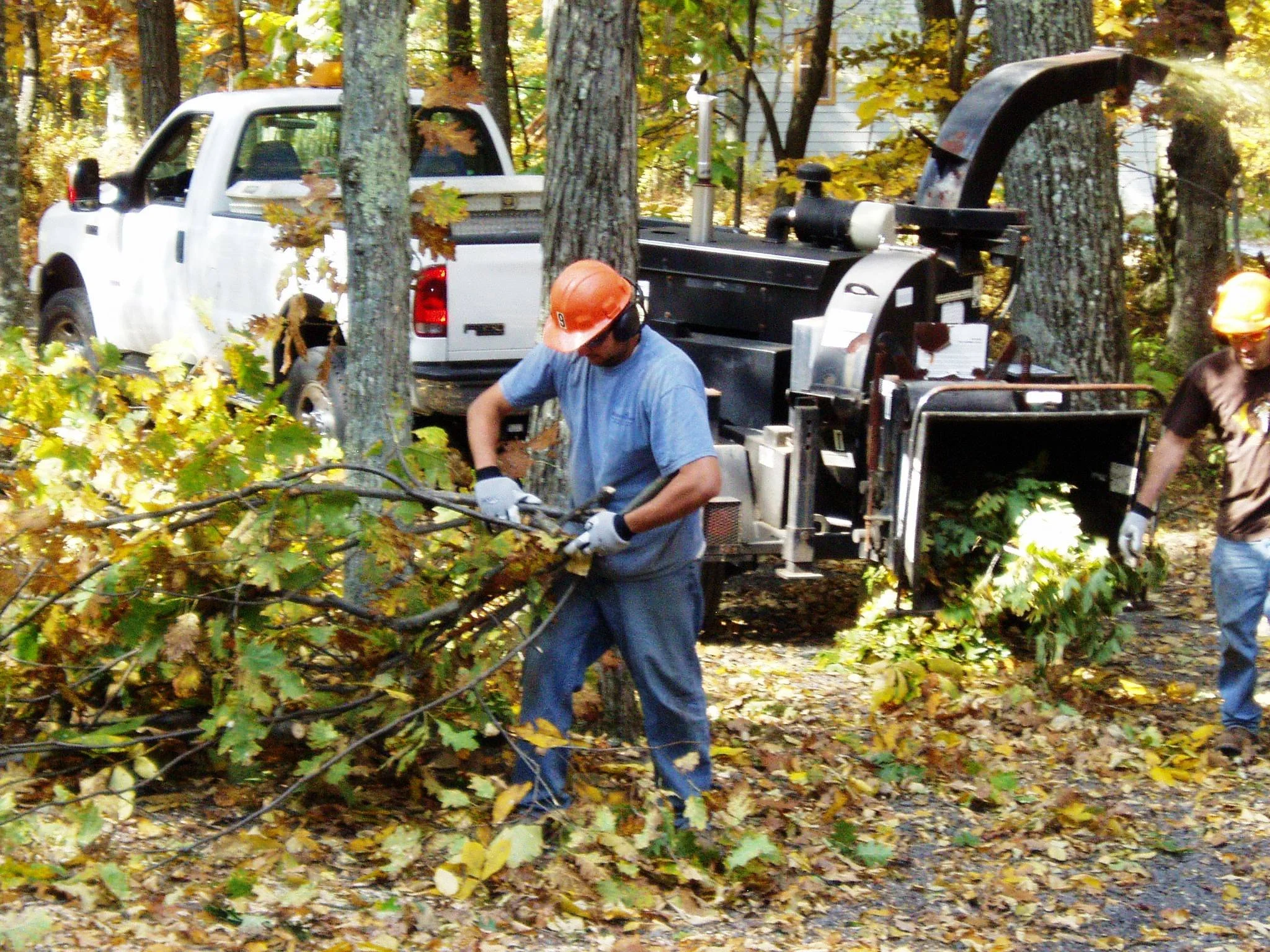 Leaf And Yard Debris Removal Contractors Wintergreen Property Owners leaf-and-yard-debris-removal-contractors-wintergreen-property-owners