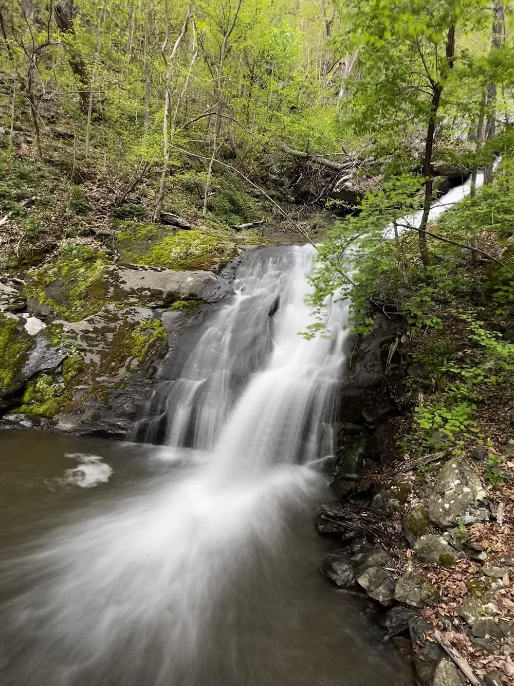 Upper Shamokin Falls with the Morgan Loop Hike — Wintergreen