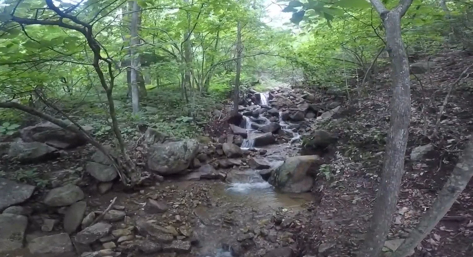 Fortunes Ridge Trail