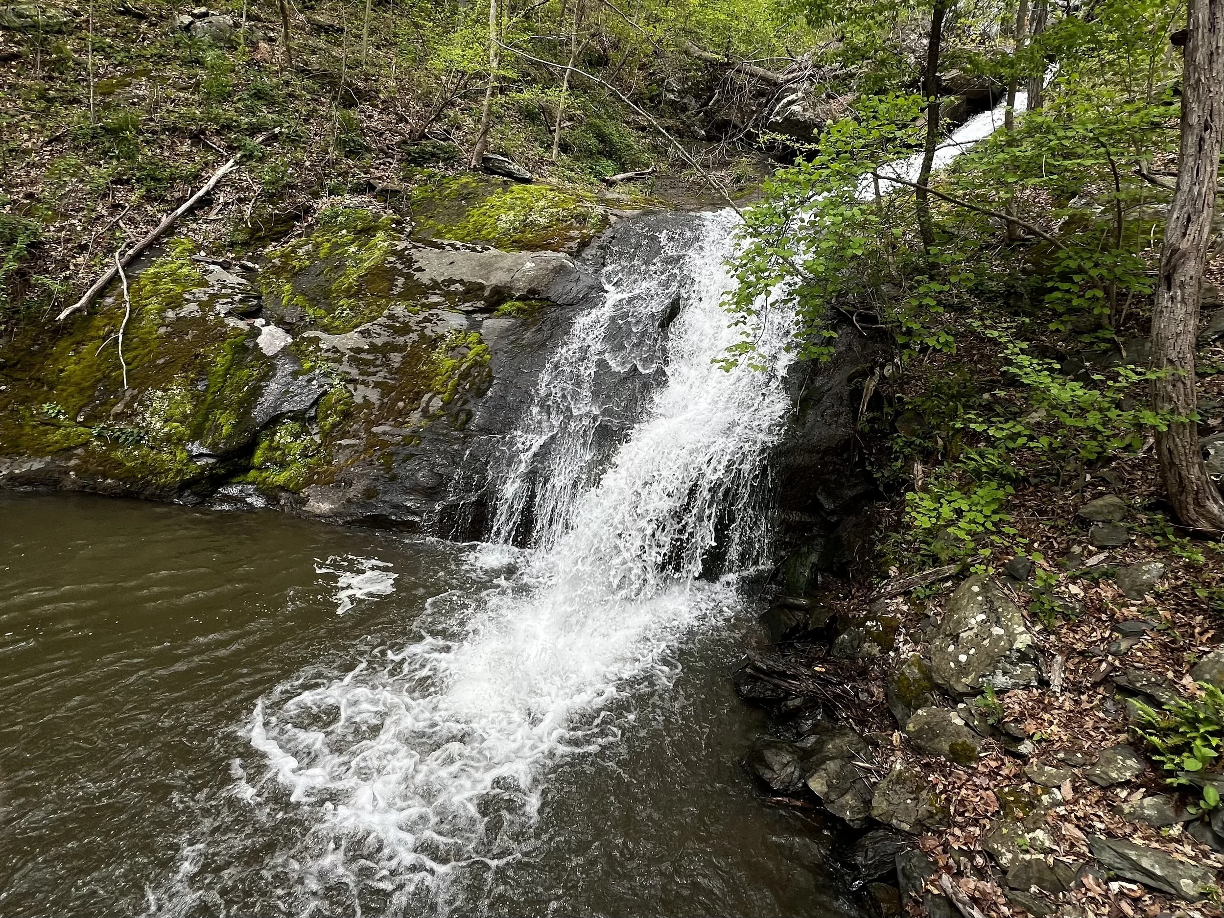 Lower Shamokin Falls Hike