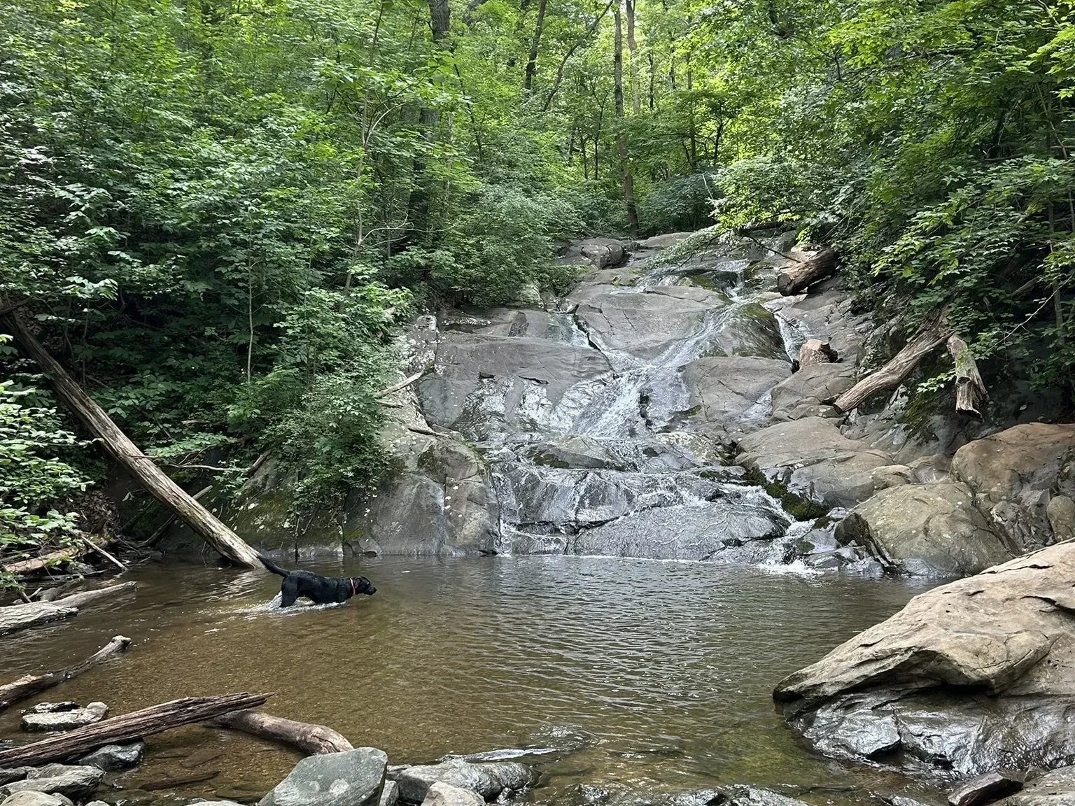 Pauls Creek Trail