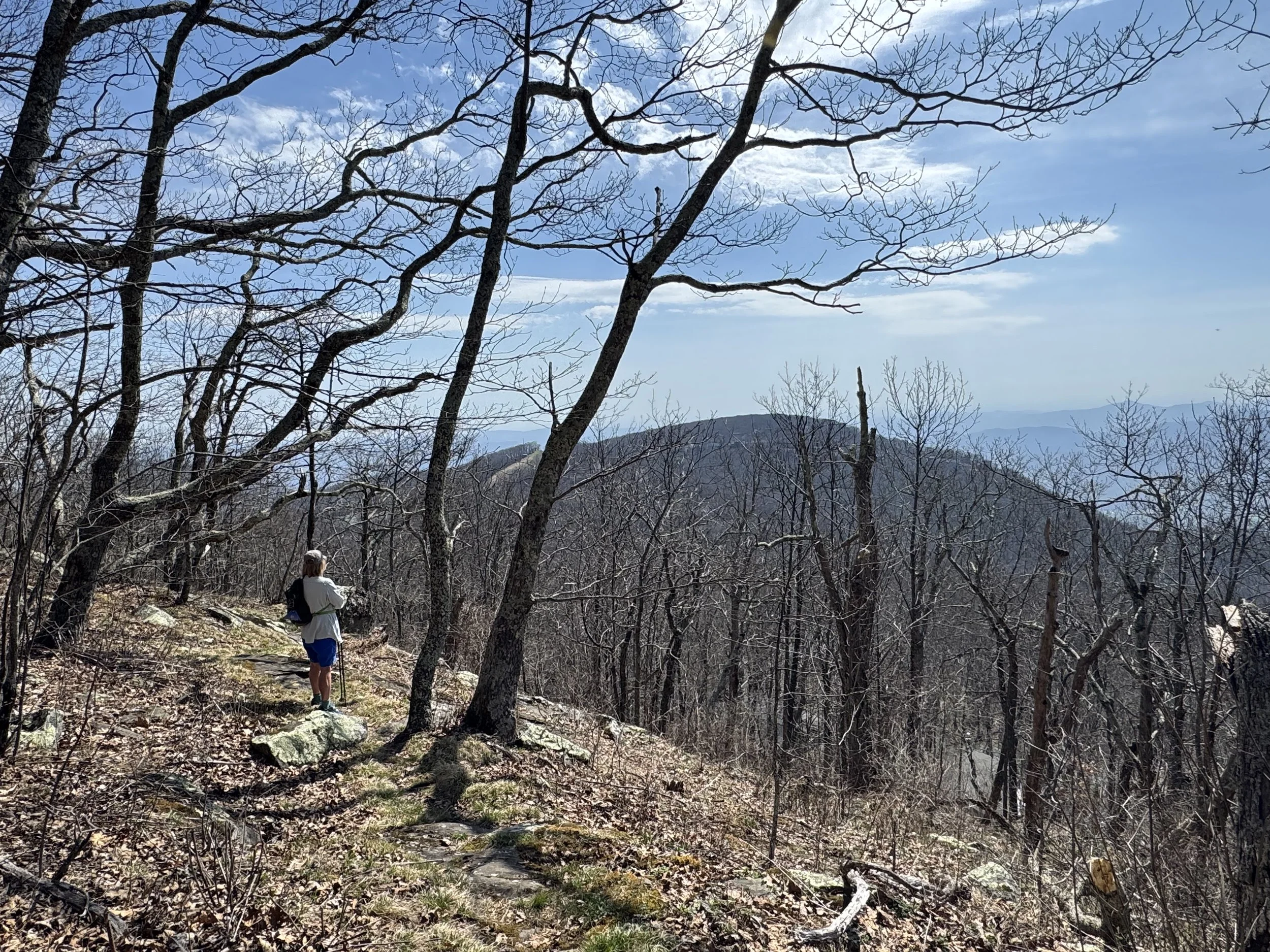 Devils Knob Trail