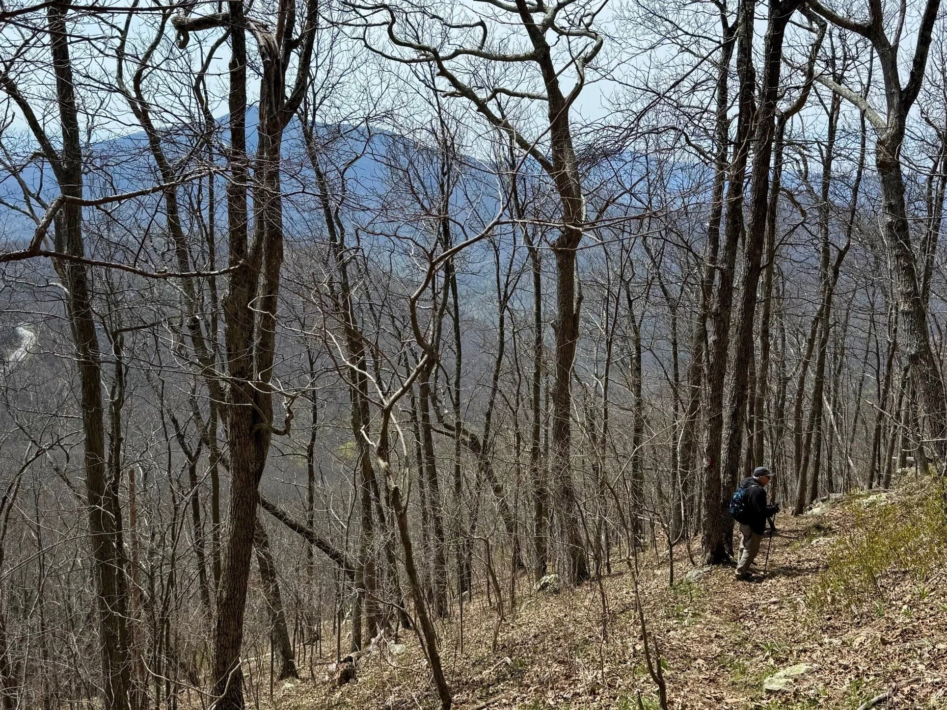 hike-pondhollow5.JPG
