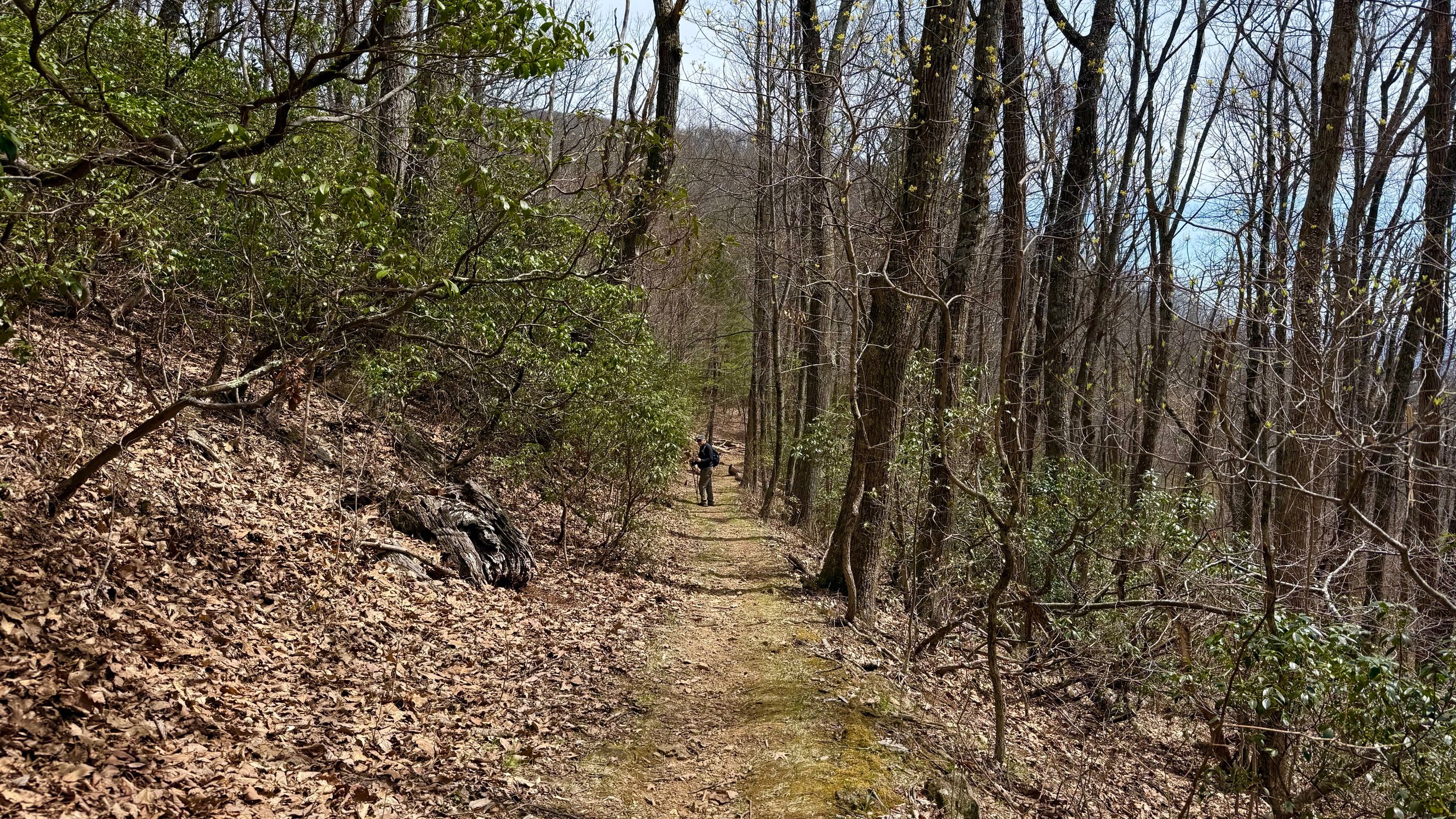 hike_laurel_4.jpeg