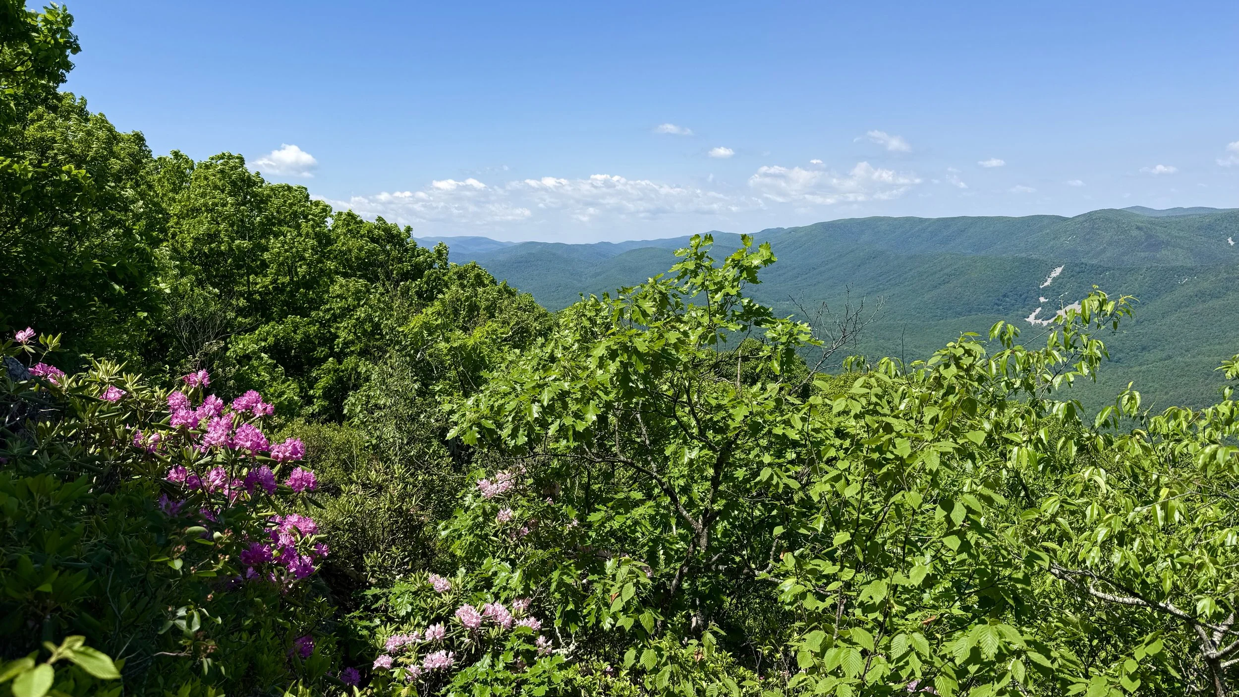 Shamokin Springs to Old AT Scenic View Hike