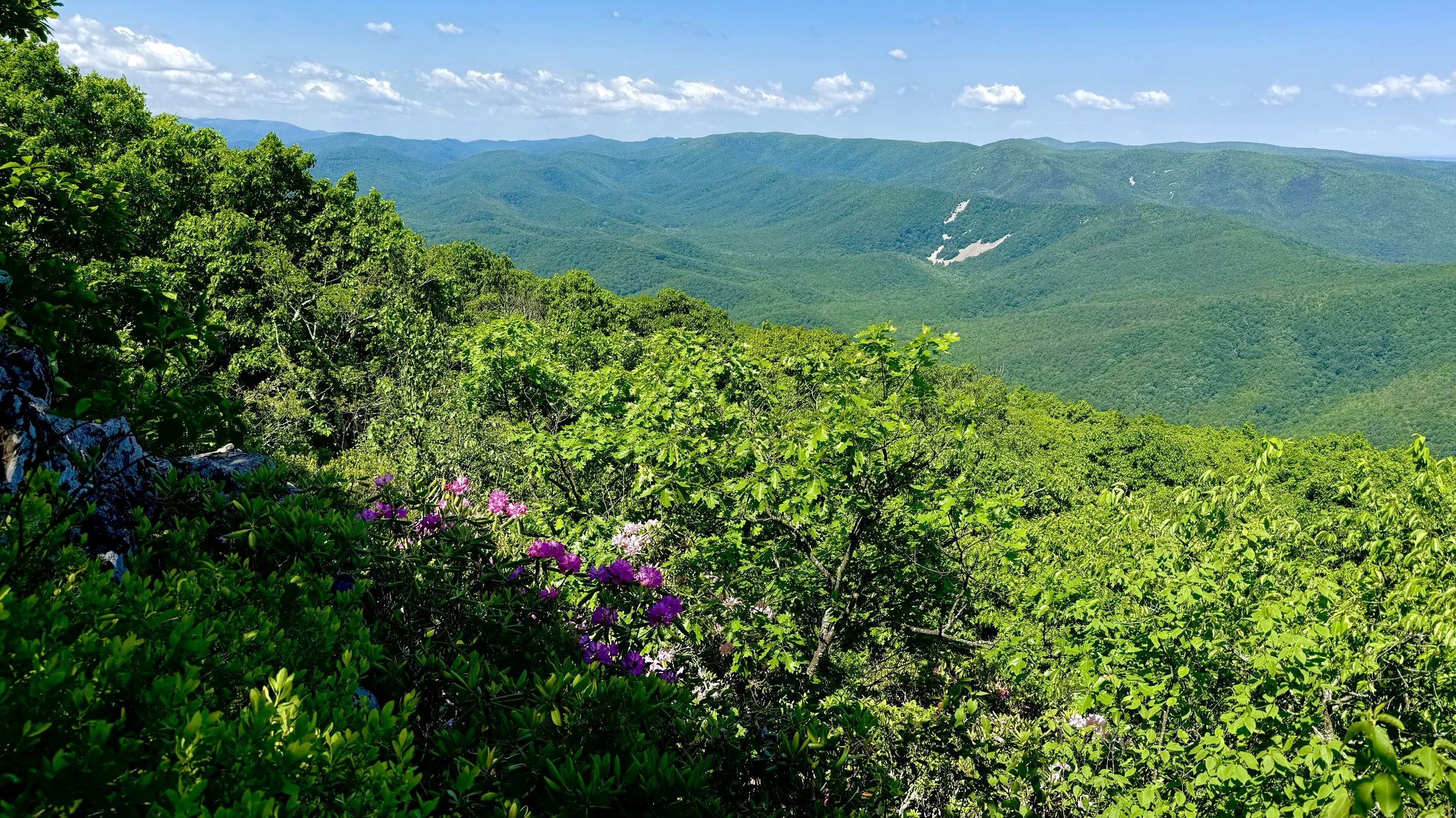 hike_Oldat_2.jpeg