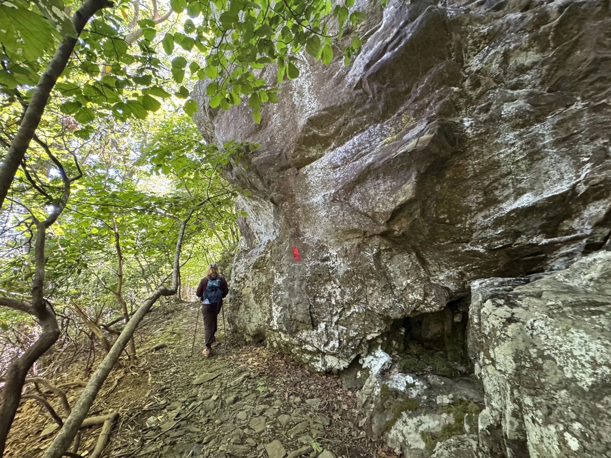 hike_cedarcliffnorth1.jpeg