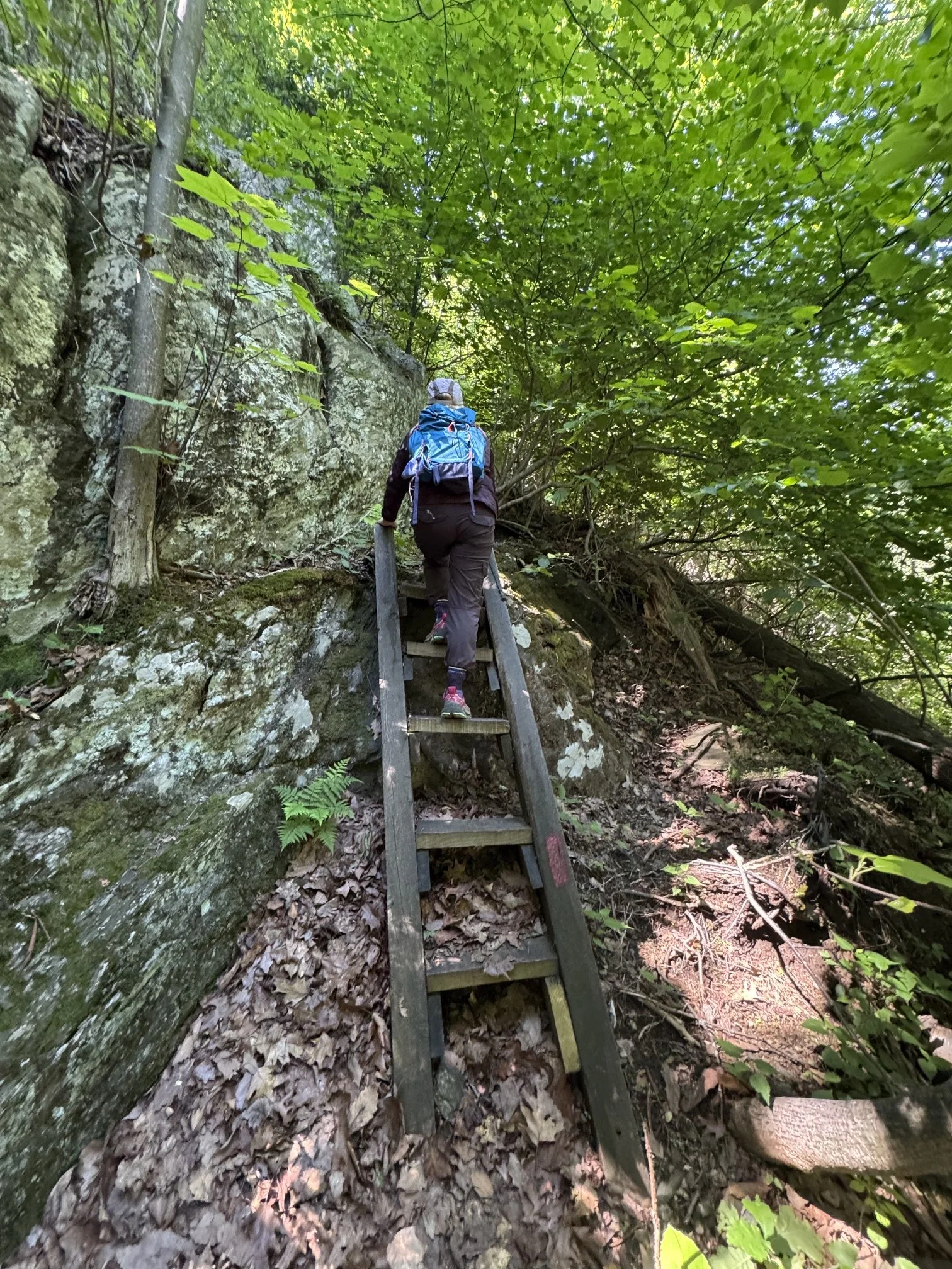 hike_cedarcliffnorth3.jpeg