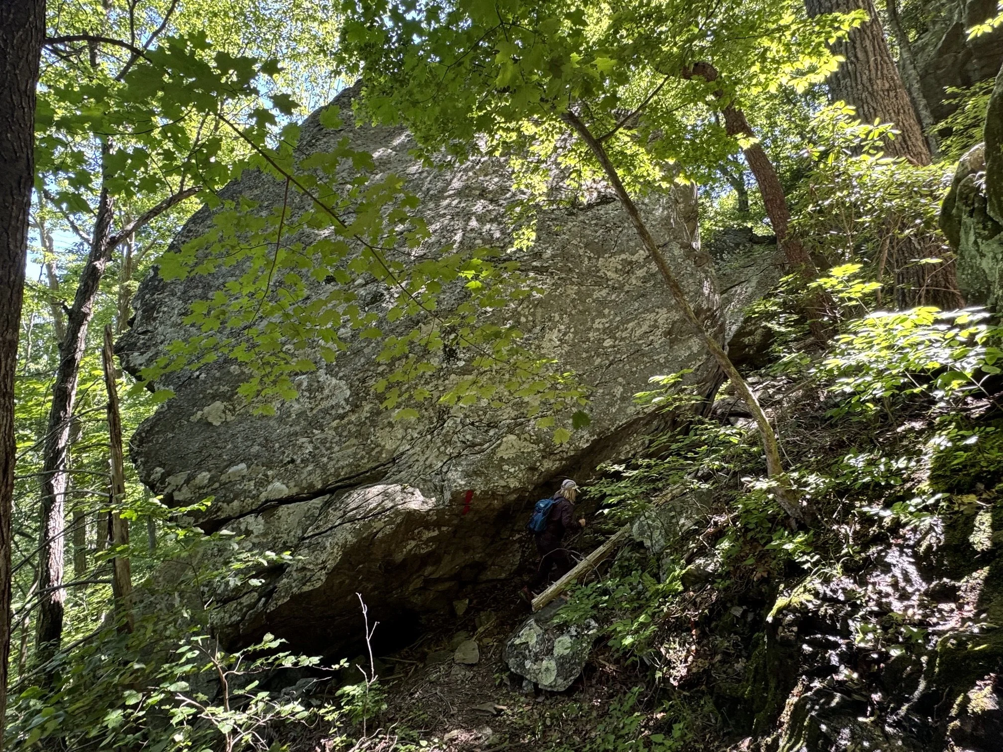 hike_cedarcliffnorth5.jpeg