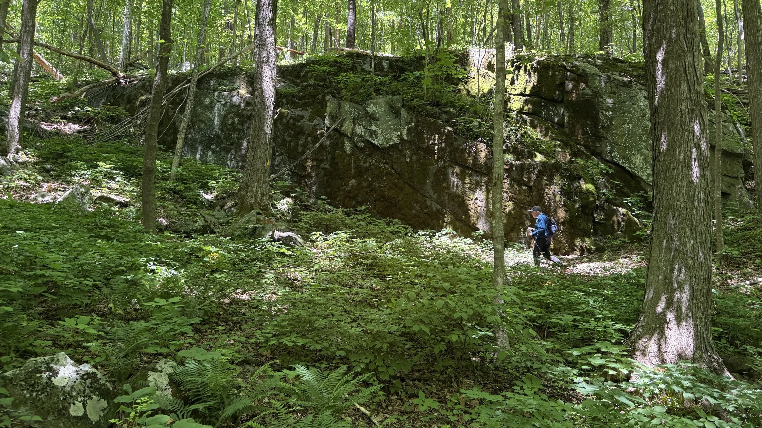 hike_hemlocksp3.jpeg