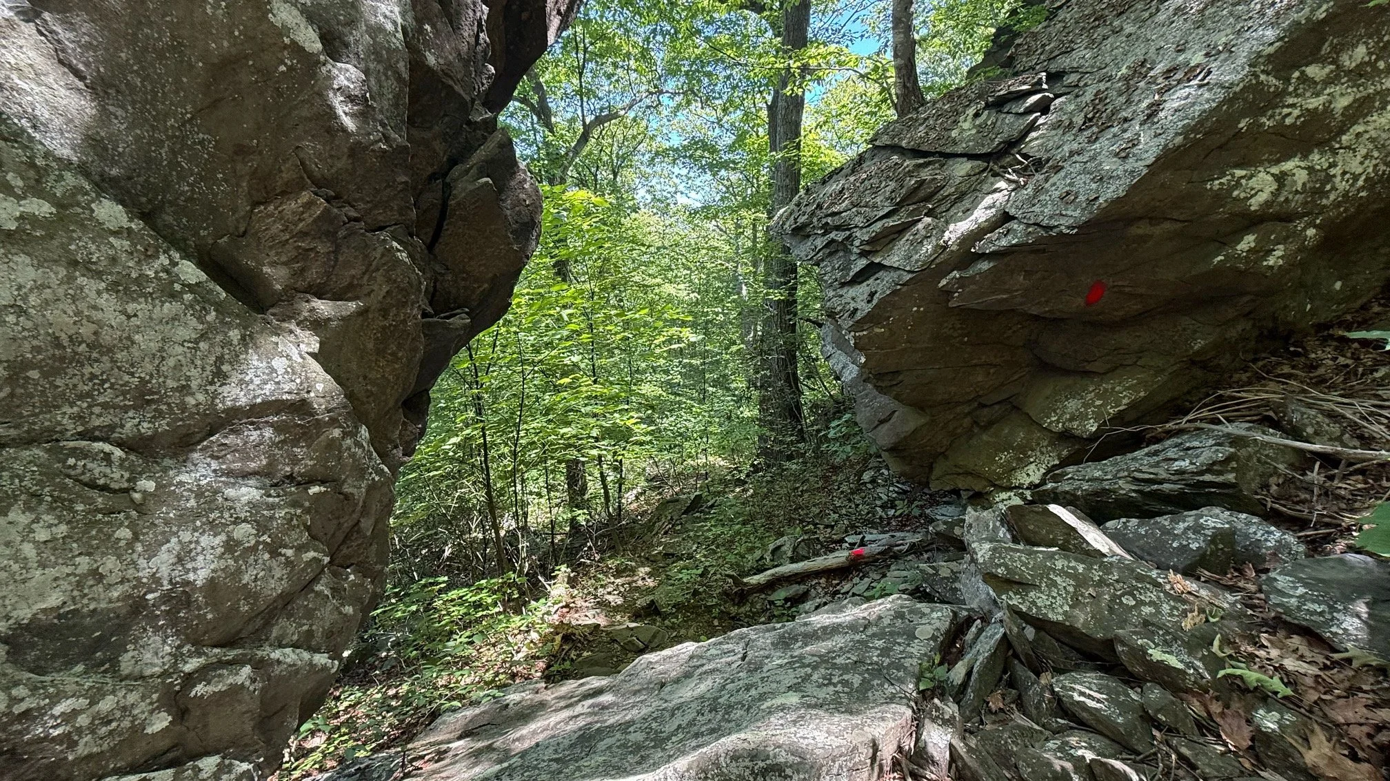 hike_cedarcliffnorth4a.JPG