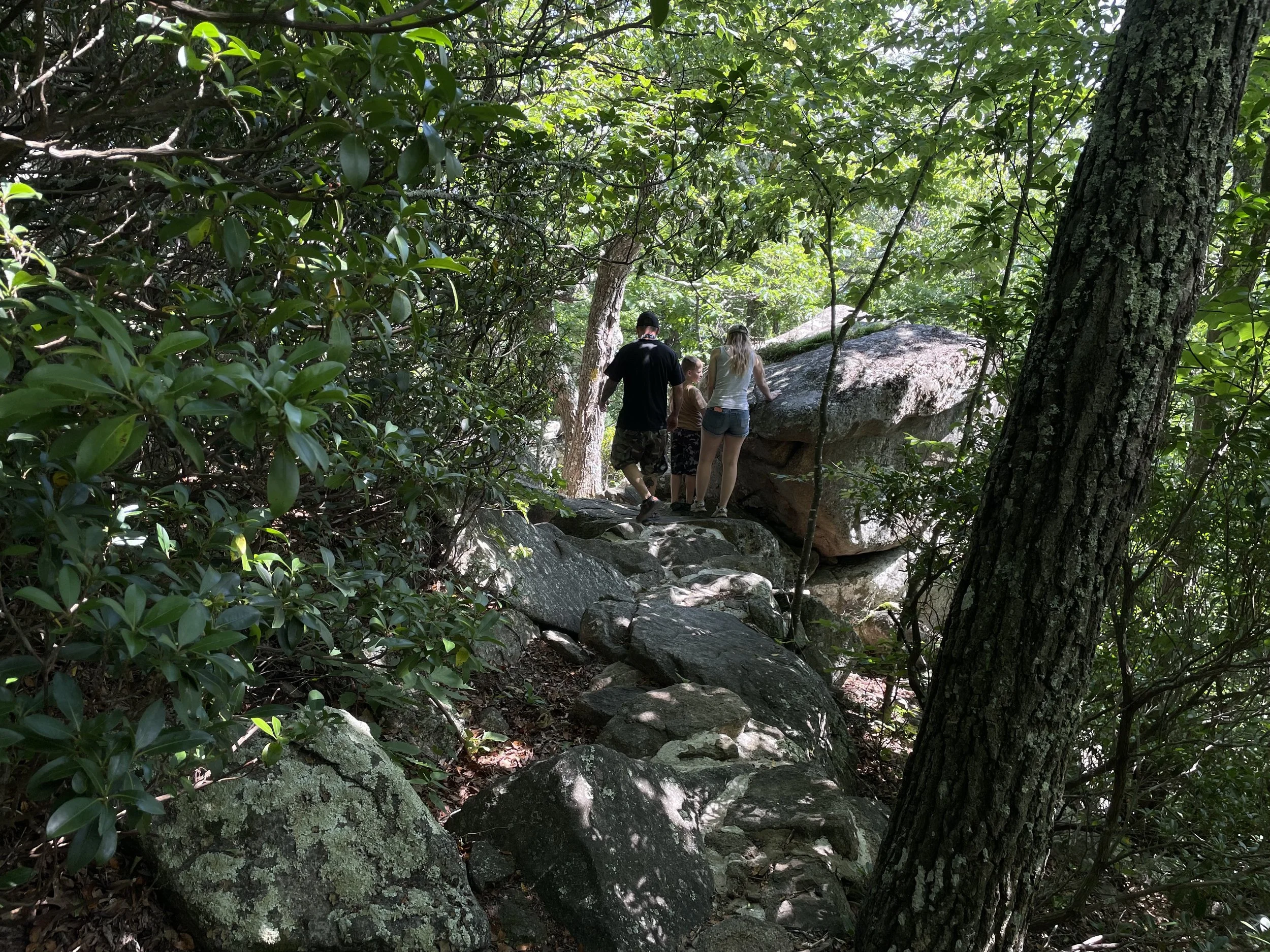 hikers plunge trail - Blackrock Park June 2026.jpeg