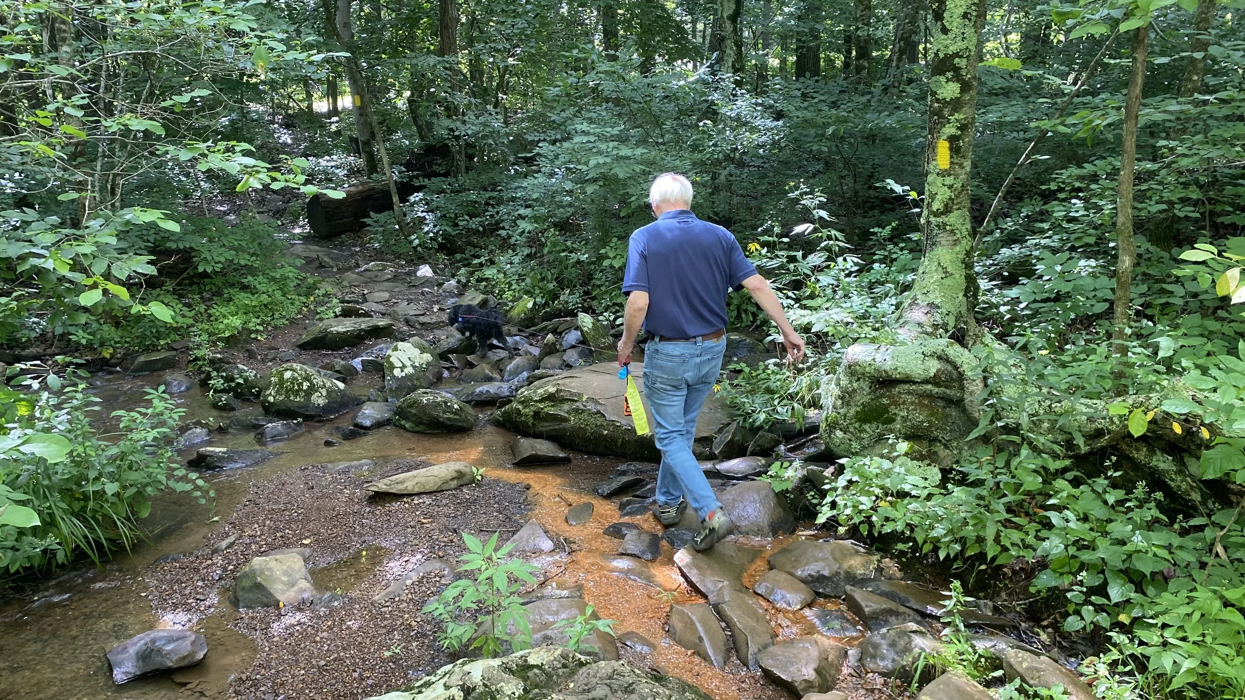 Shamokin Springs Nature Preserve -Wintergreen- rocky path 2026.jpeg