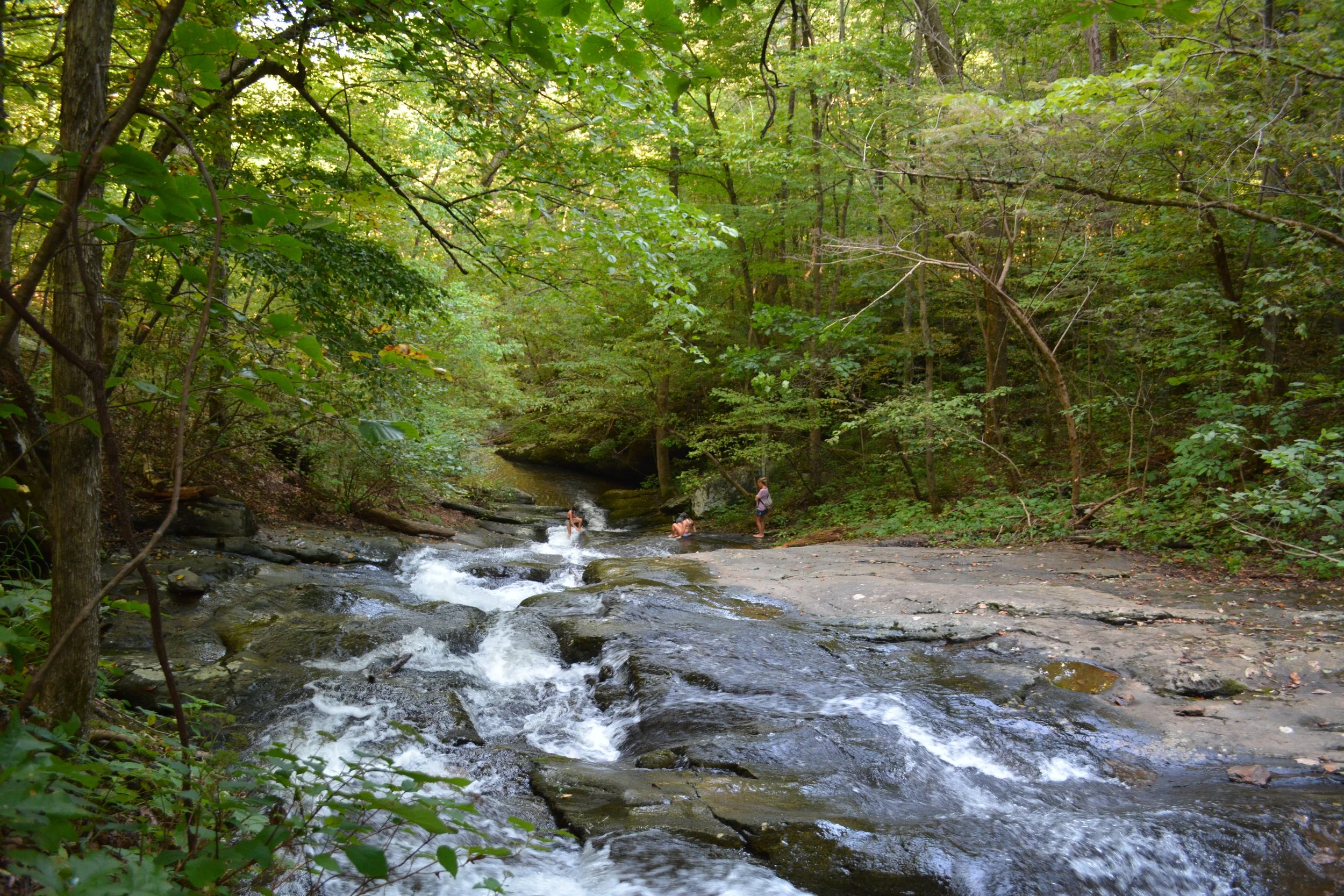 Pauls Creek Trail