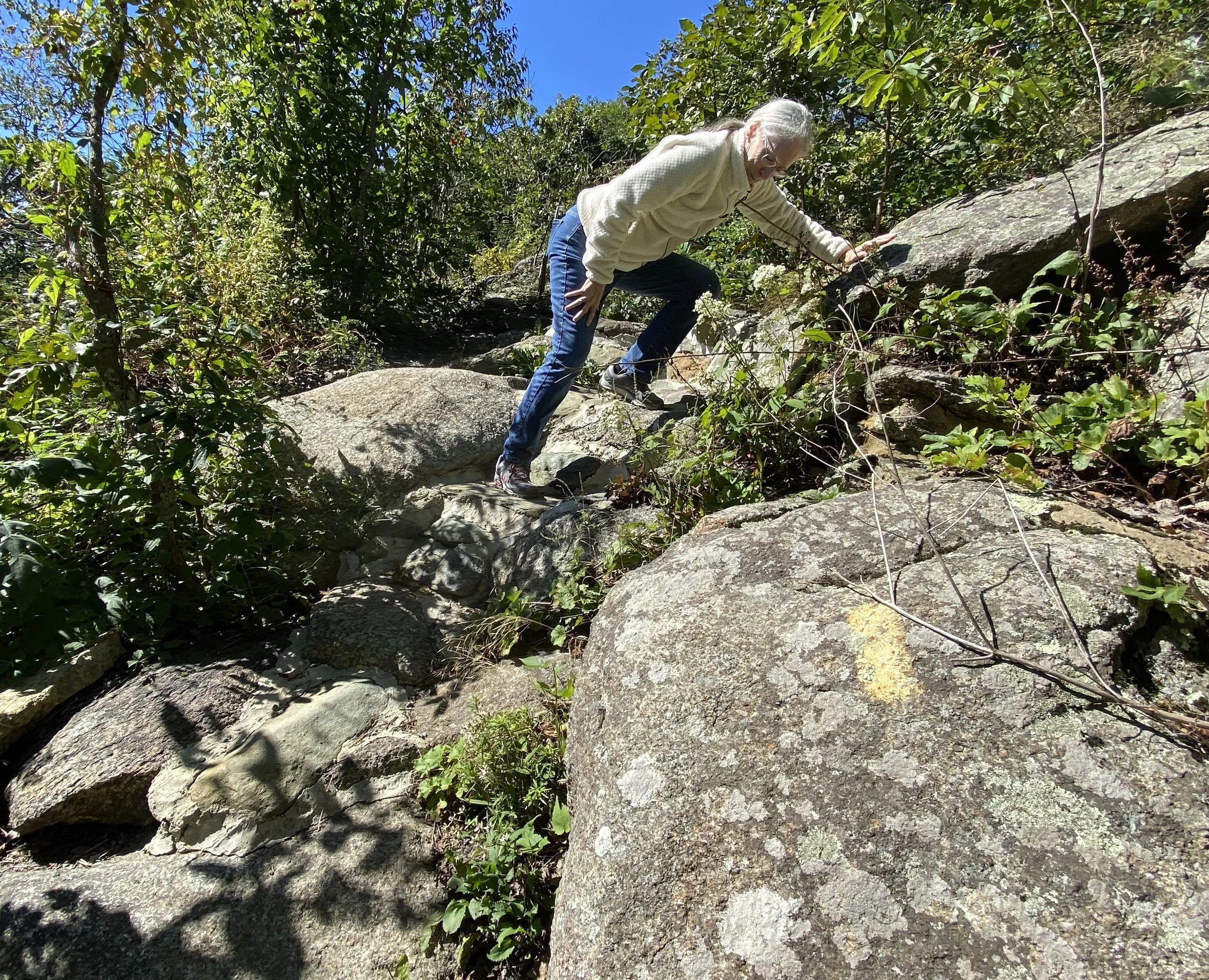 Plunge Trail lp1.jpeg