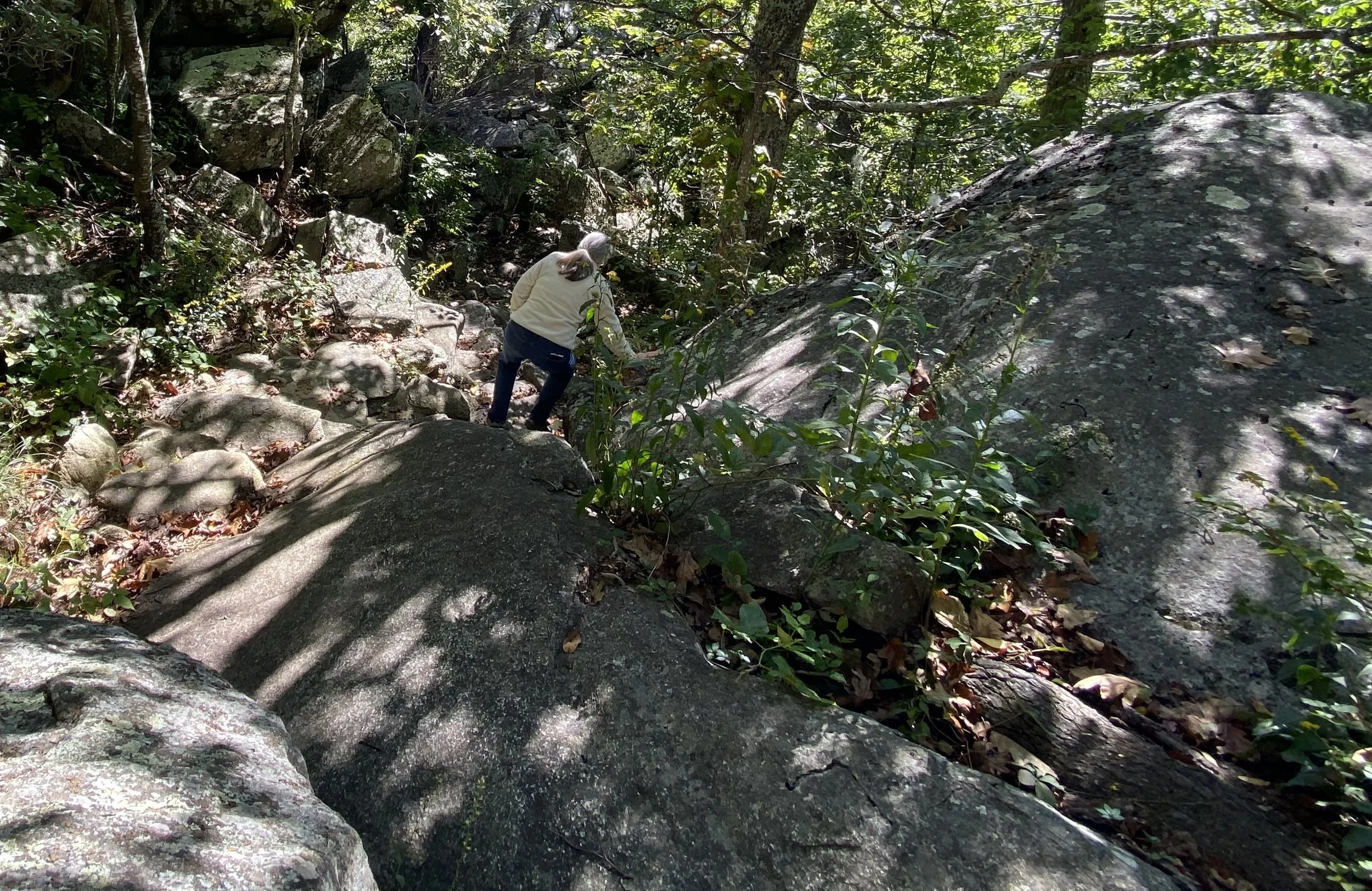 Plunge Trail lp10.jpeg
