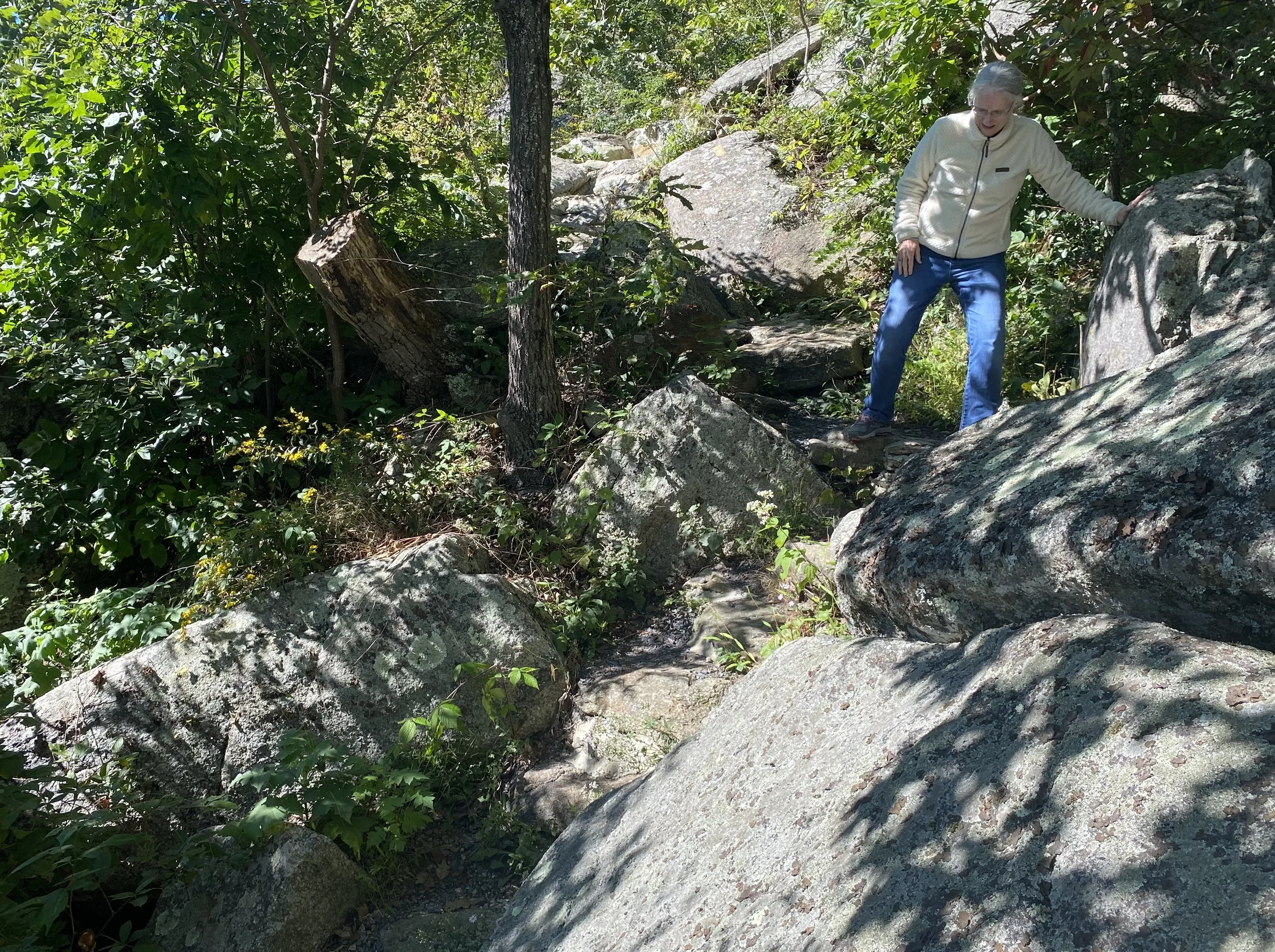 Plunge Trail lp11.jpeg