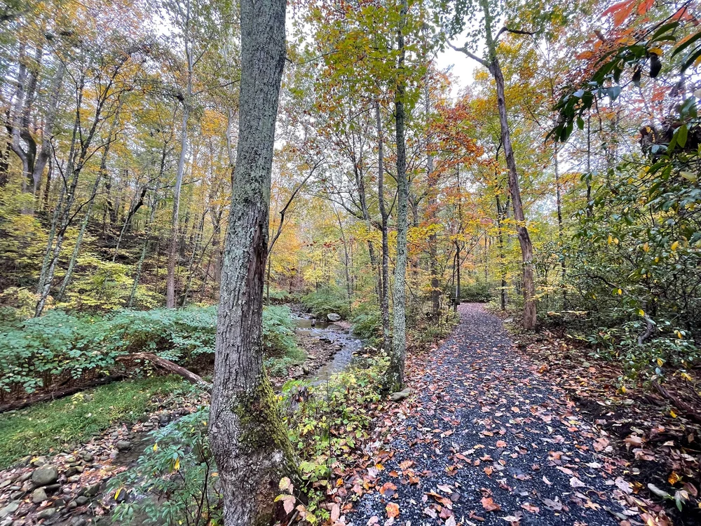 stoney creek park fall 2022 1a.JPG