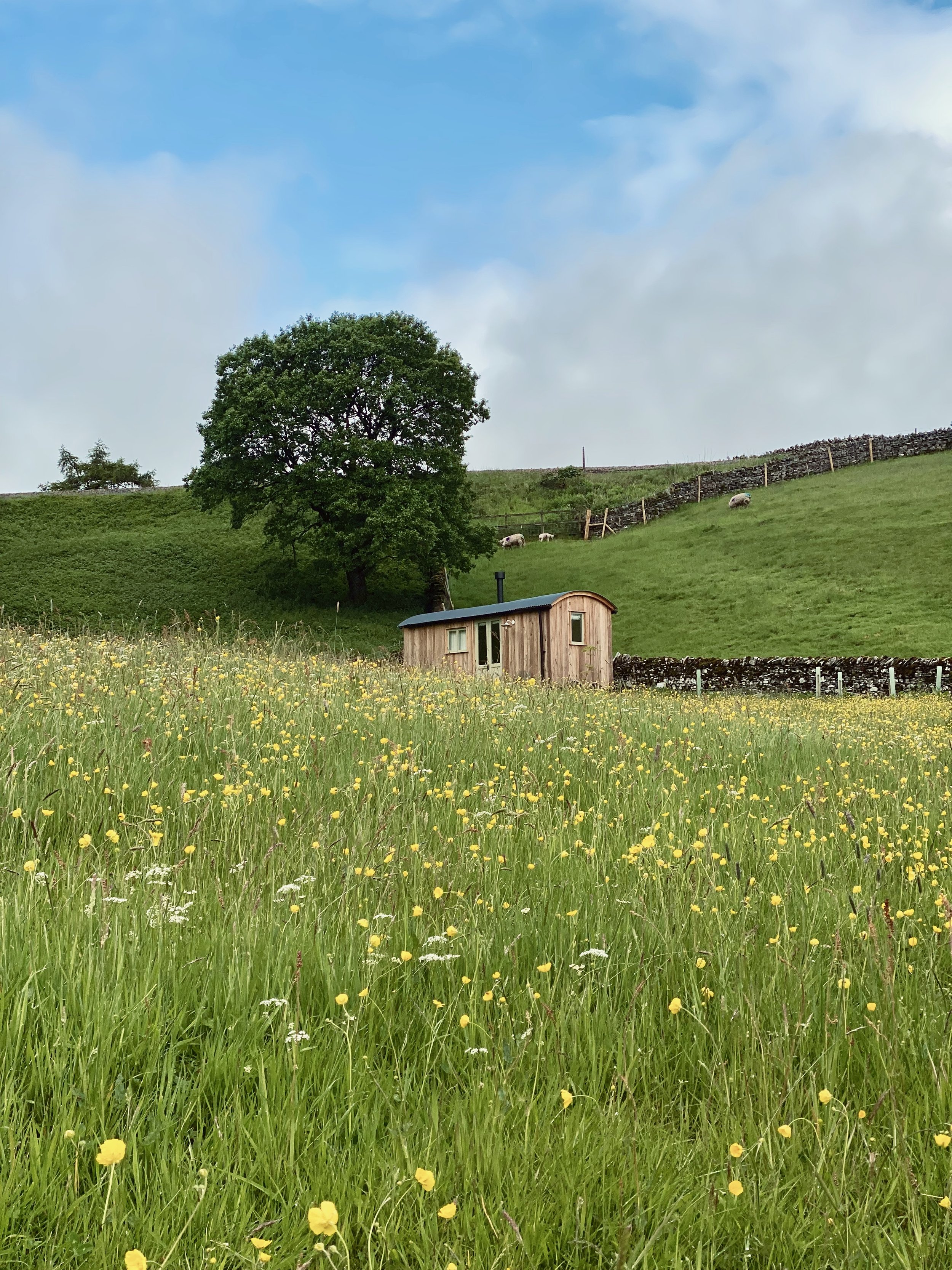 Bullghyll Hut - 1 of 1 (1).jpeg