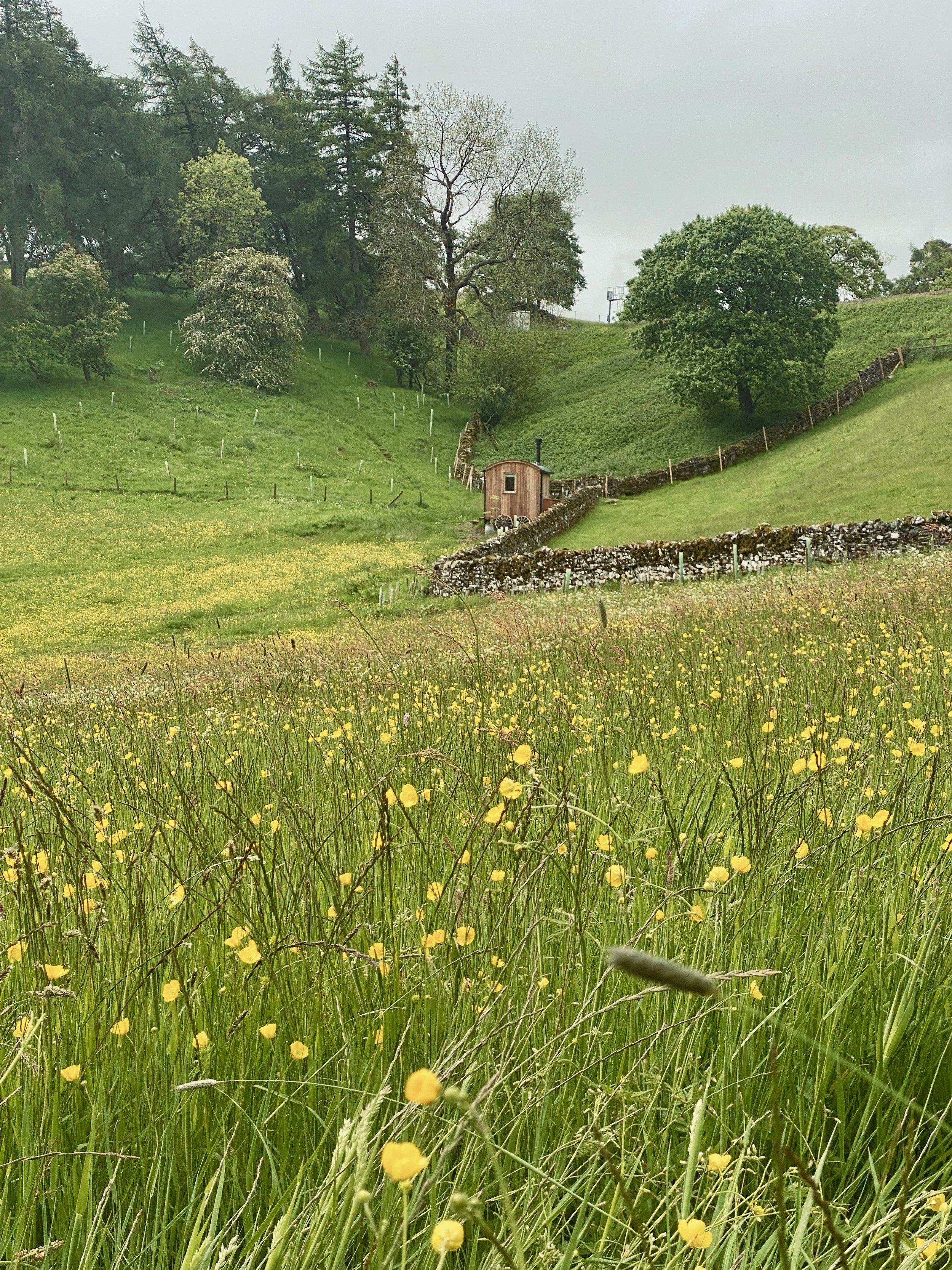 Bullghyll Hut - 1 of 1.jpeg