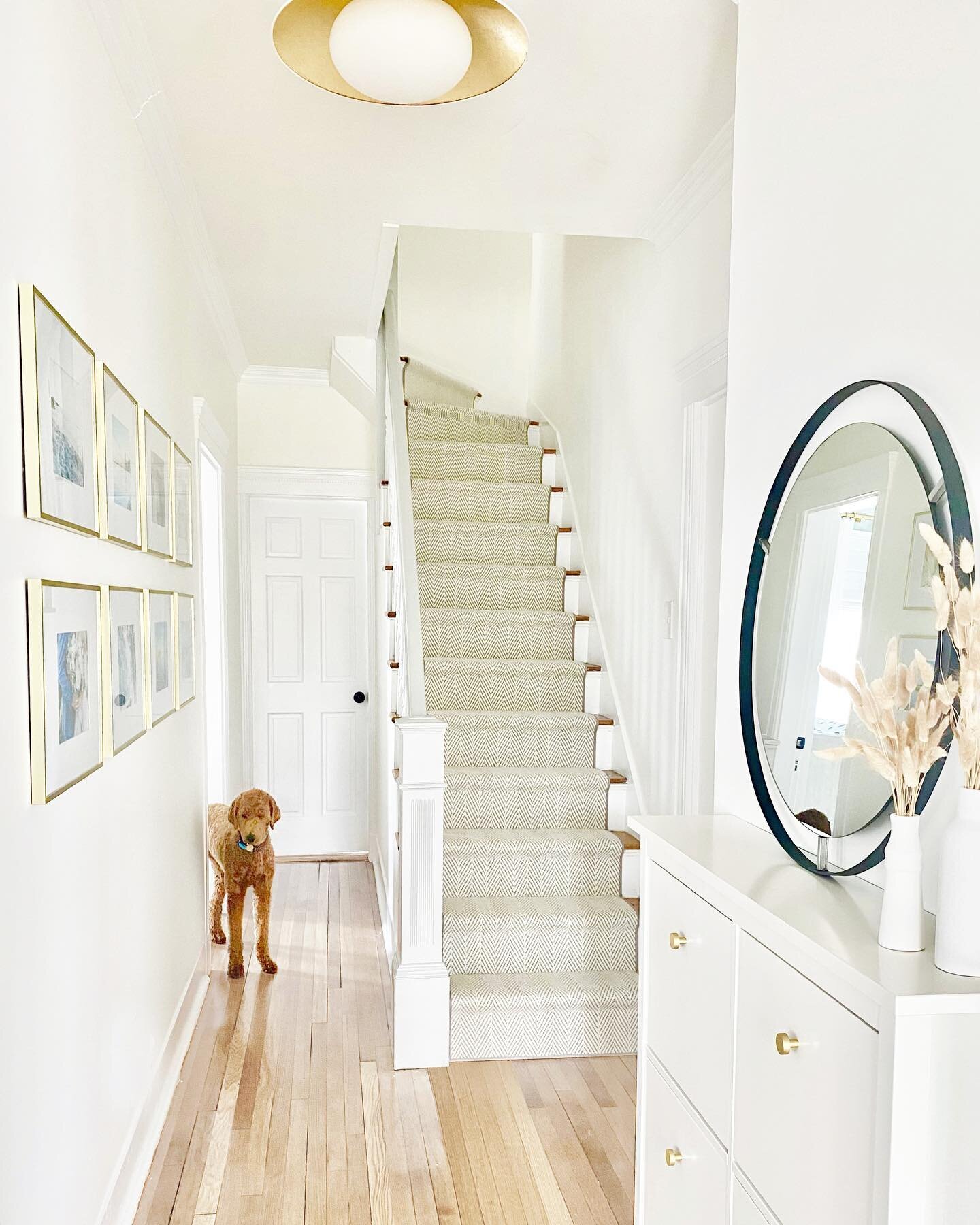 Upgrading your entry from a dark bare space to a bright, inviting space makes the biggest difference! Dog and kid friendly can still be pretty✨