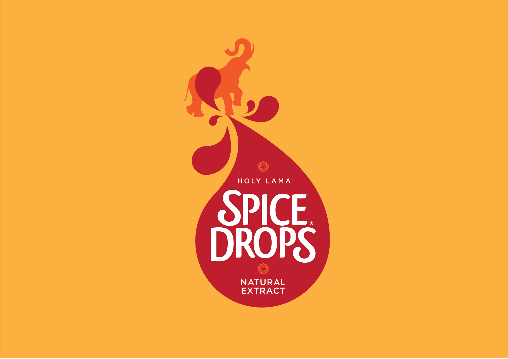 IMAGES FOR WEBSITE_SPICE DROPS-01.png