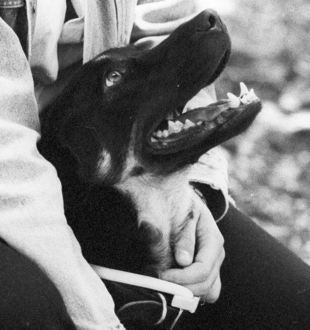 BPrtrt_Pets_12.jpg