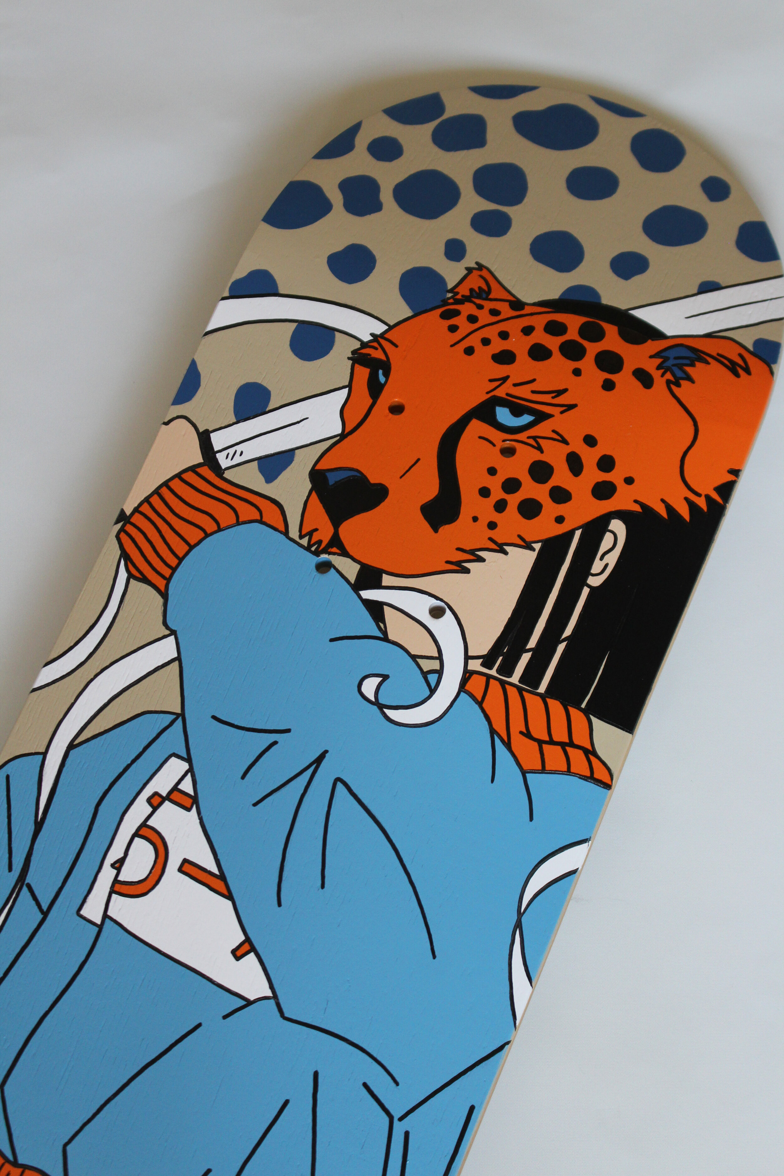 cheetah 2.jpg