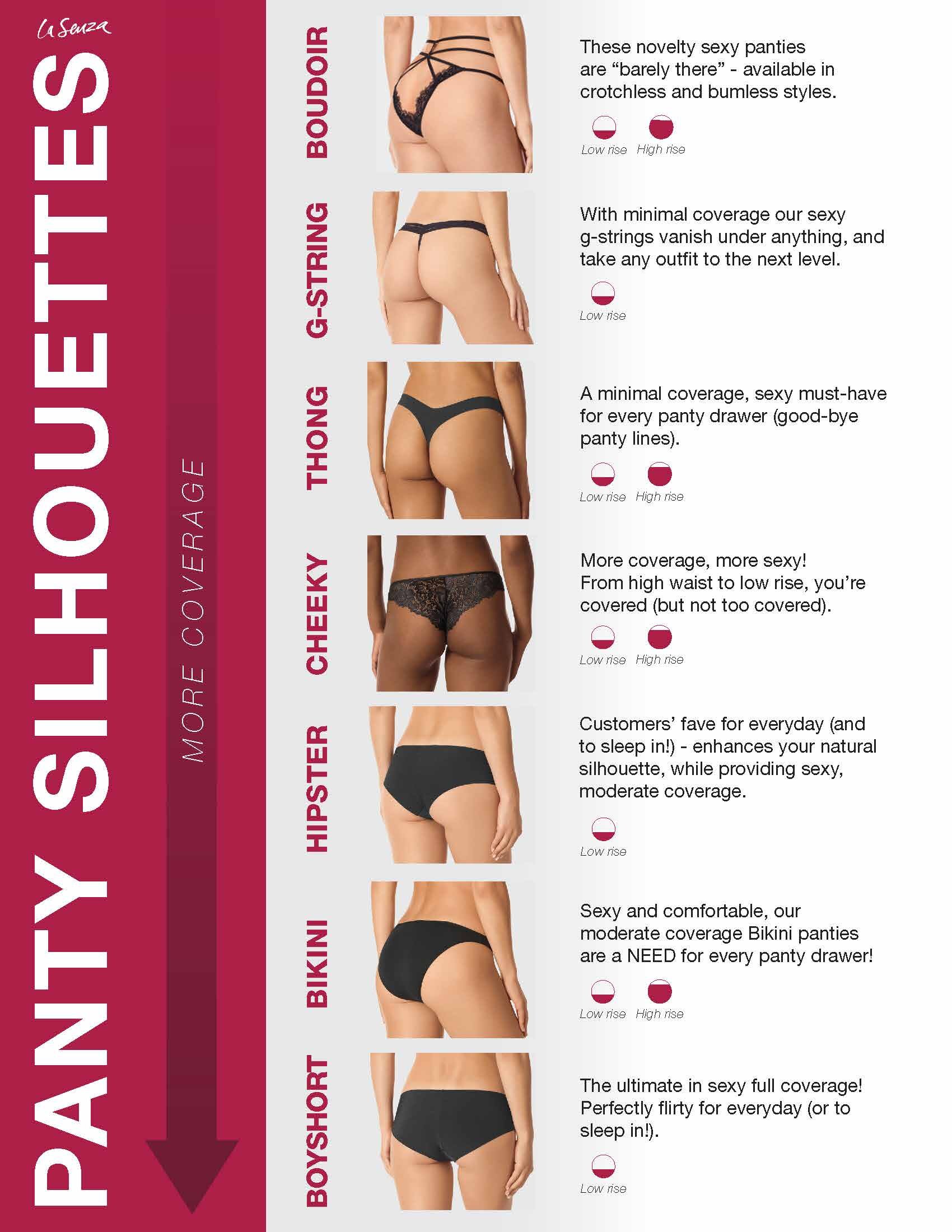 Panty Poster - This poster quickly walks through the variety of panty silhouettes available in stores and online.