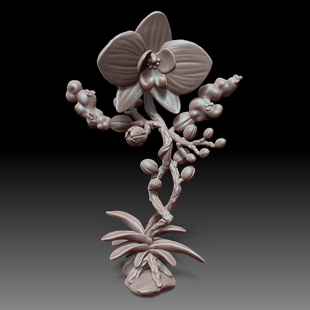 Orchid Elemental. 1st pose. 

I always look closely at flowers and enjoy each one&rsquo;s unique character. Sometimes I&rsquo;ve imagined how they&rsquo;d look as elementals and I&rsquo;m pleased with how these sculpts represent those dreams. 
.
.
.

