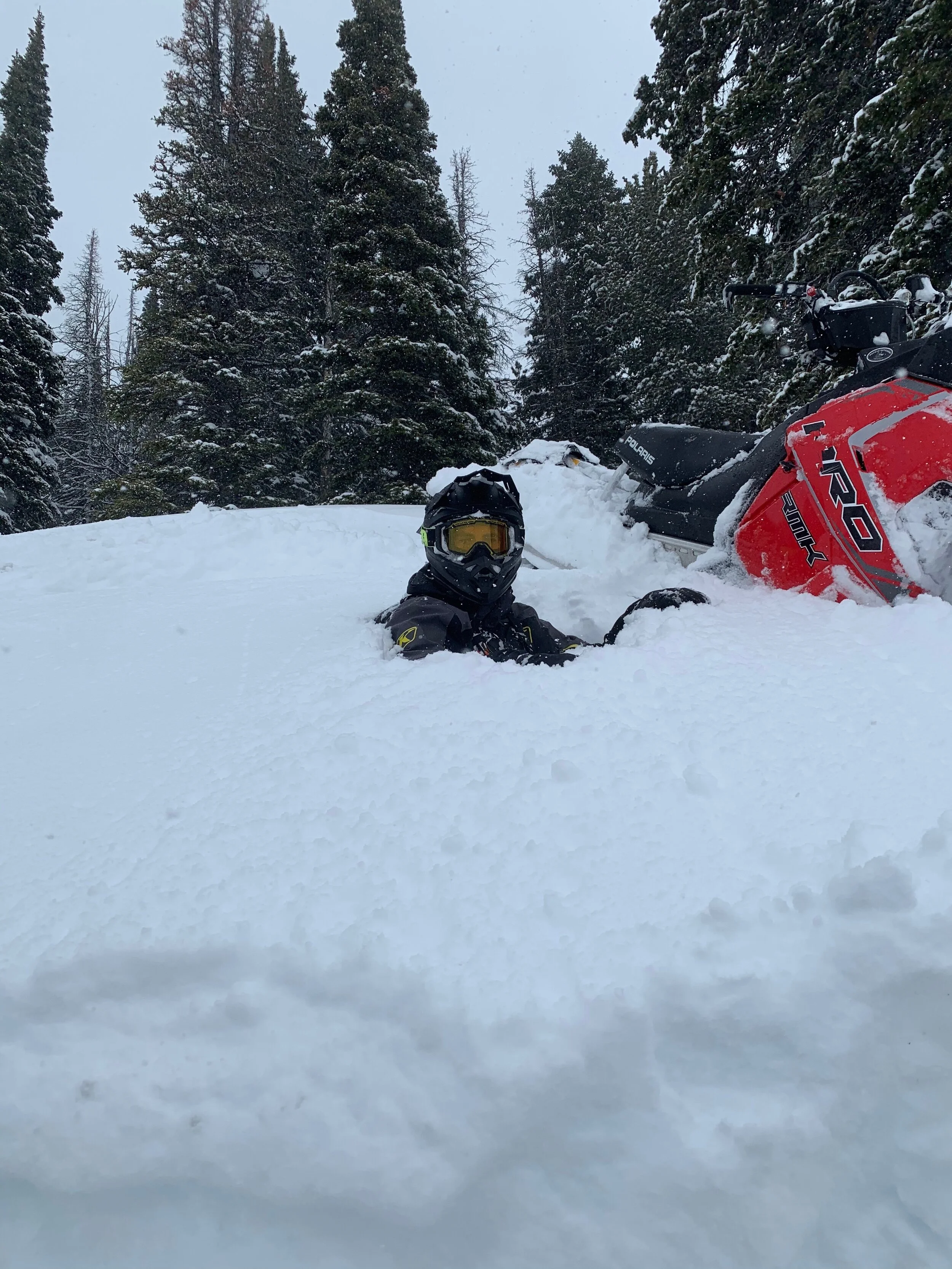 Deep powder days!