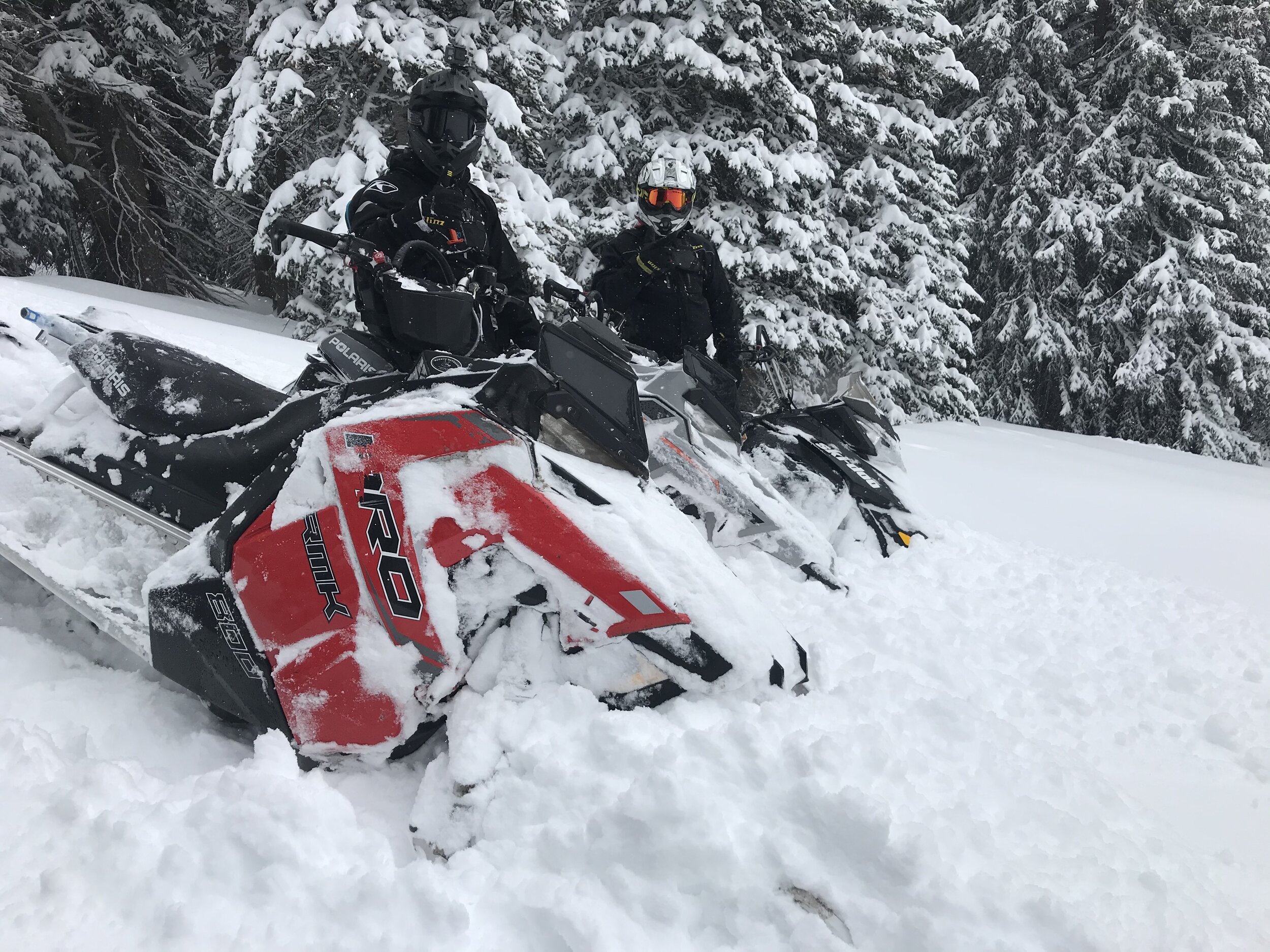 Polaris and Skidoo Snowmobiles ready to be rode!