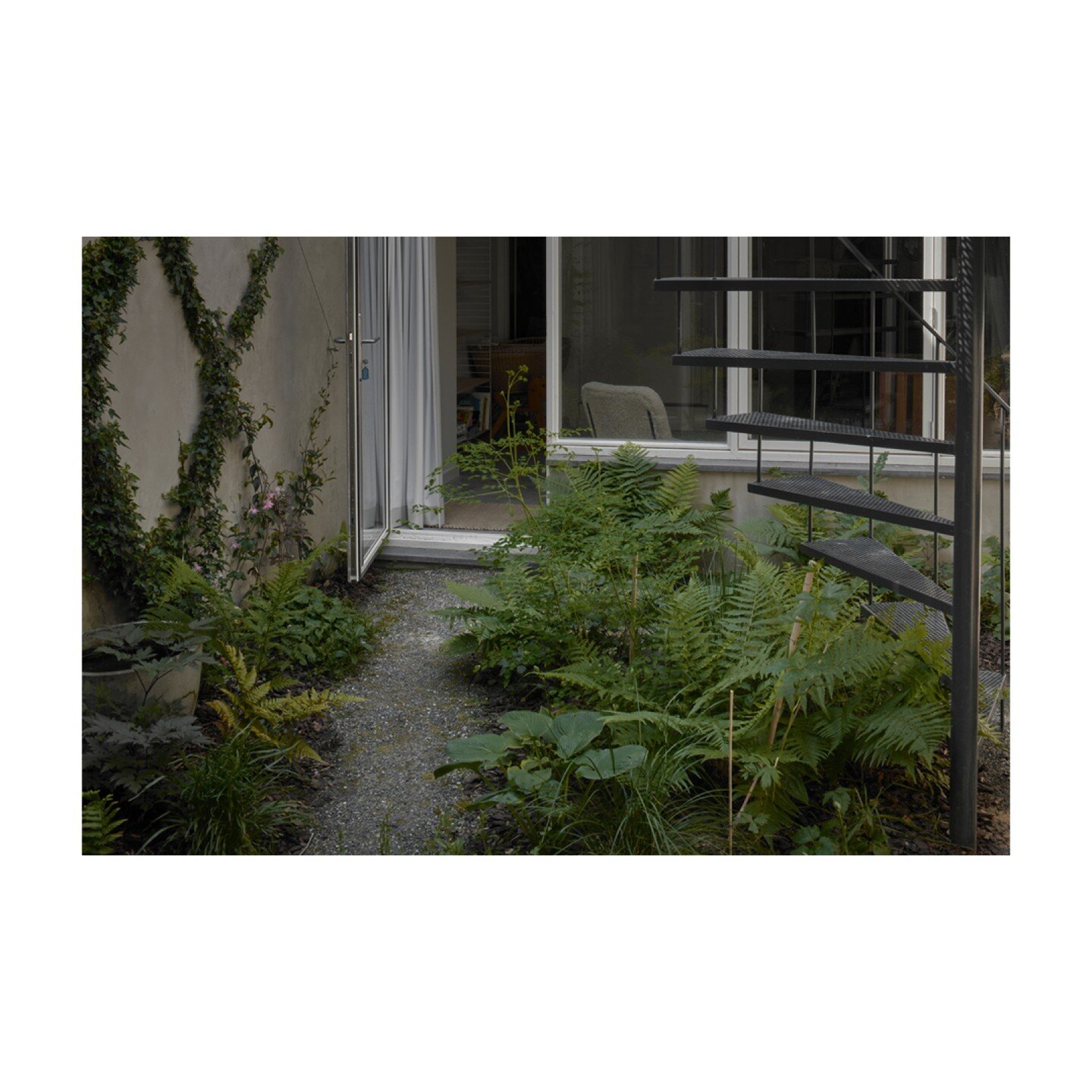 June 2023, Amsterdam, garden, shot for @rademacher_devries
.
.
.
.
#architecture #photography #architecturephotography  #wood #building #arch #plant #grass #shrub #landscape #facade #room #apartment #condominium #curtain #yard #handrail #plants