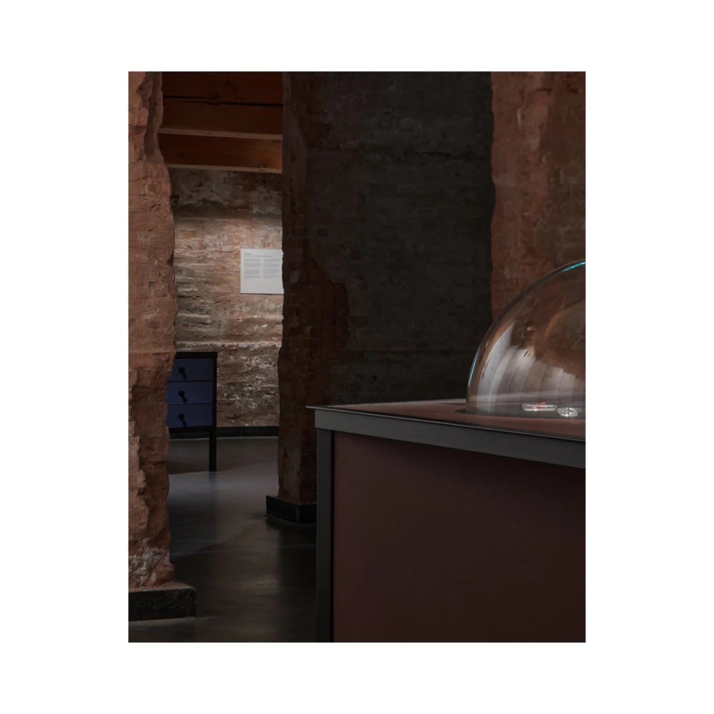 Exhibition Plants &amp; Planets, @hortusleiden, shot for @happelcornelisseverhoeven

Curators:@metaknol, Frans Snik and others.

Artists: @jos_agasi @thestudiogarden @driessens_verstappen @koenhauser @studio.antimundo

Contractor: @wood.wave
.
.
.
#e
