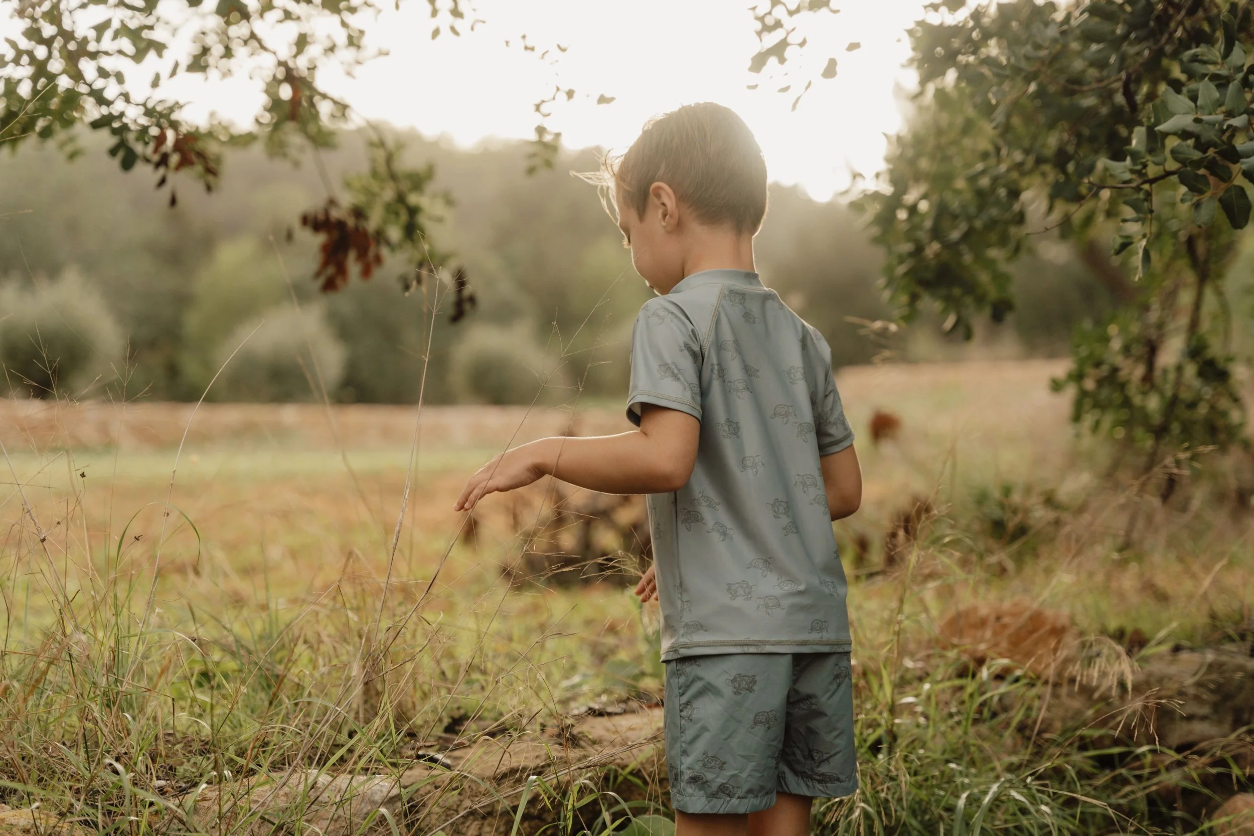 Camiseta Baño Uv+ Turtle Island Oliva