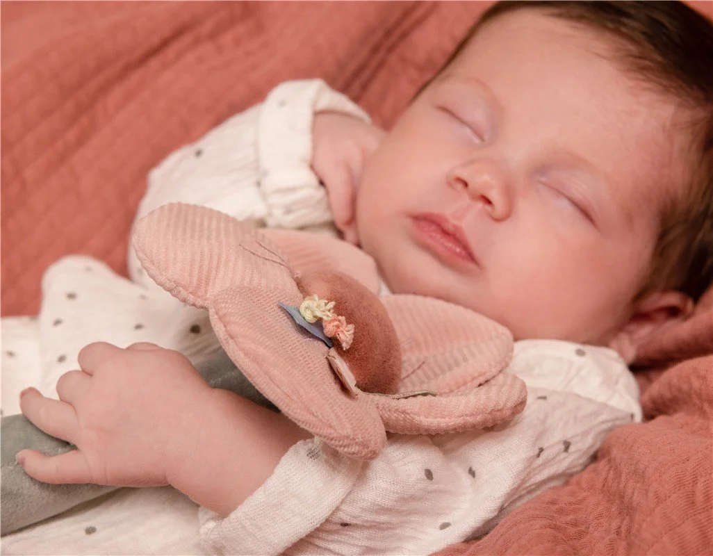 SONAJERO FLORES & MARIPOSAS LITTLE DUTCH