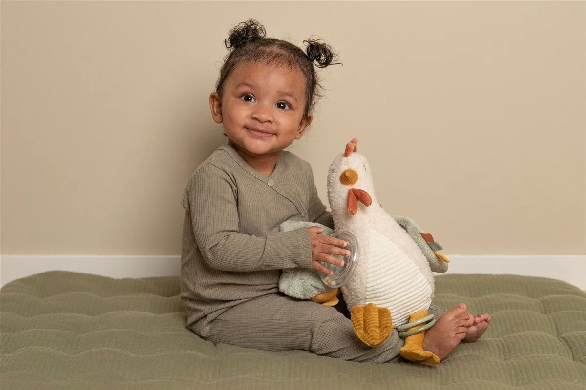 GALLINA DE ACTIVIDADES