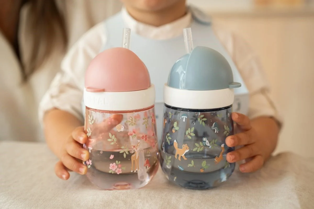 .VASO CON PAJITA MIO 300 ML FAIRY GARDEN